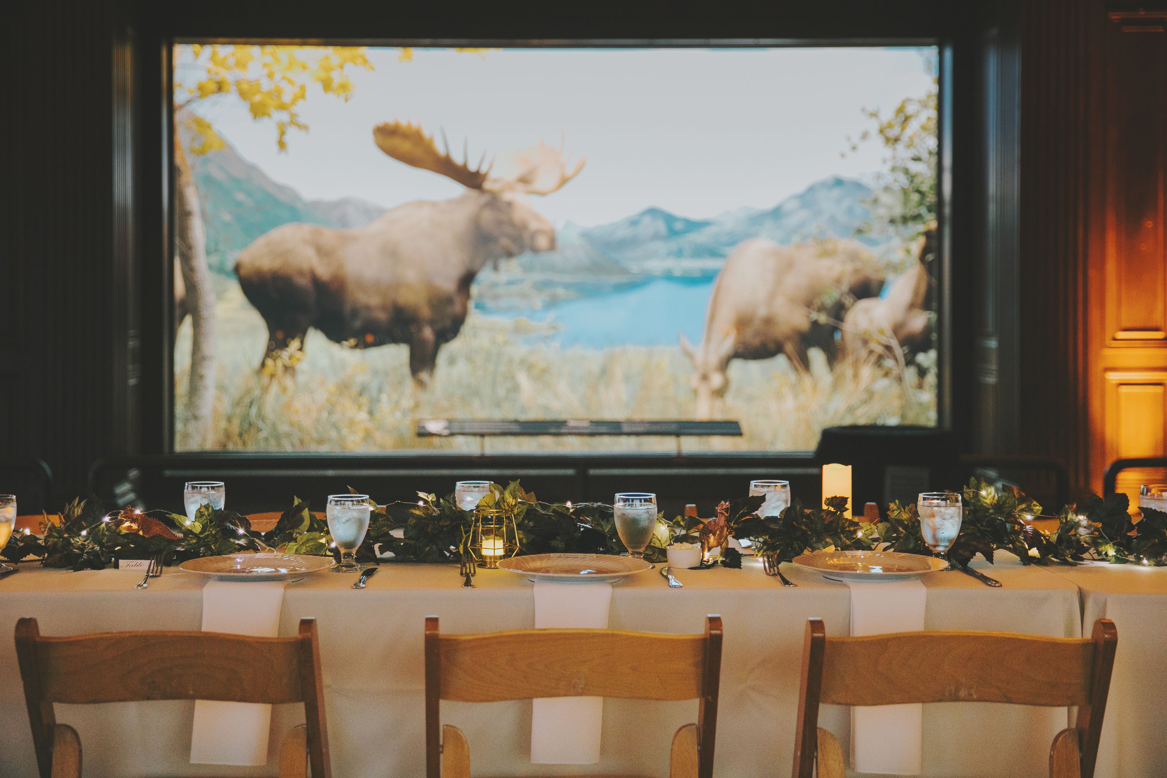 Cover photo of White August Photography