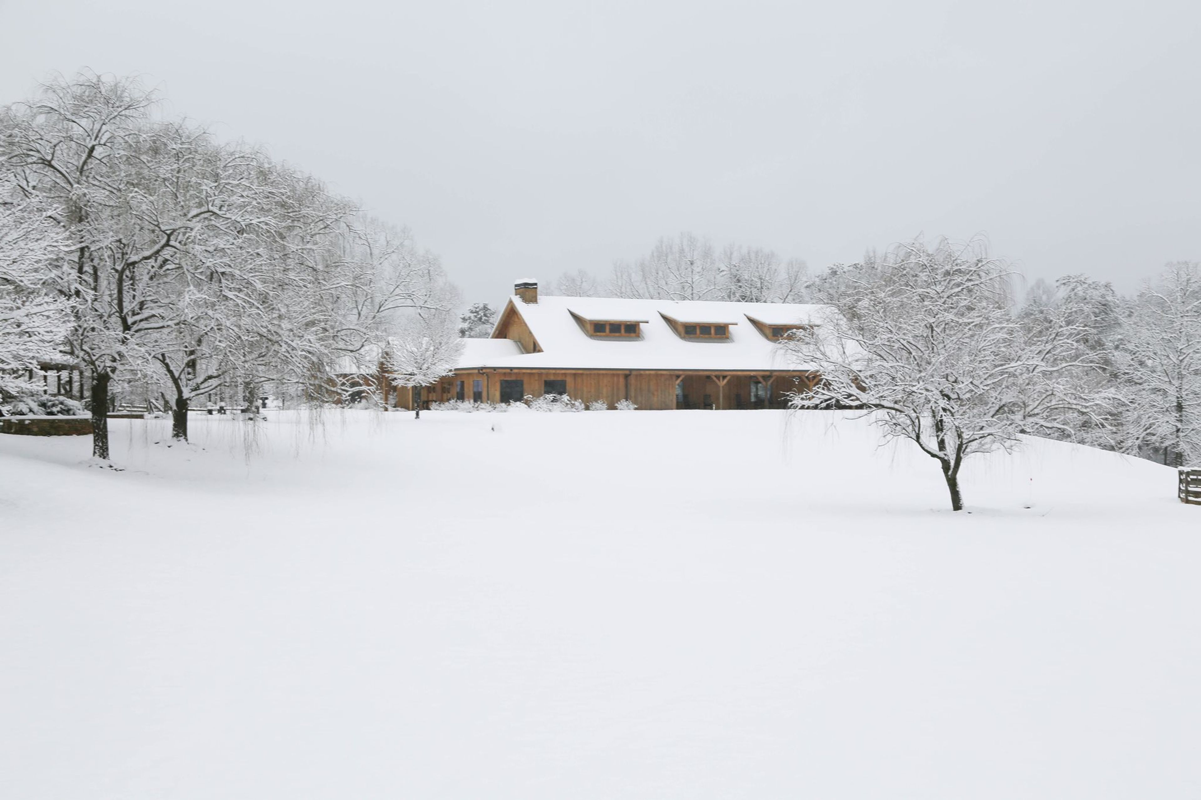 Cover photo of The Willows Farm