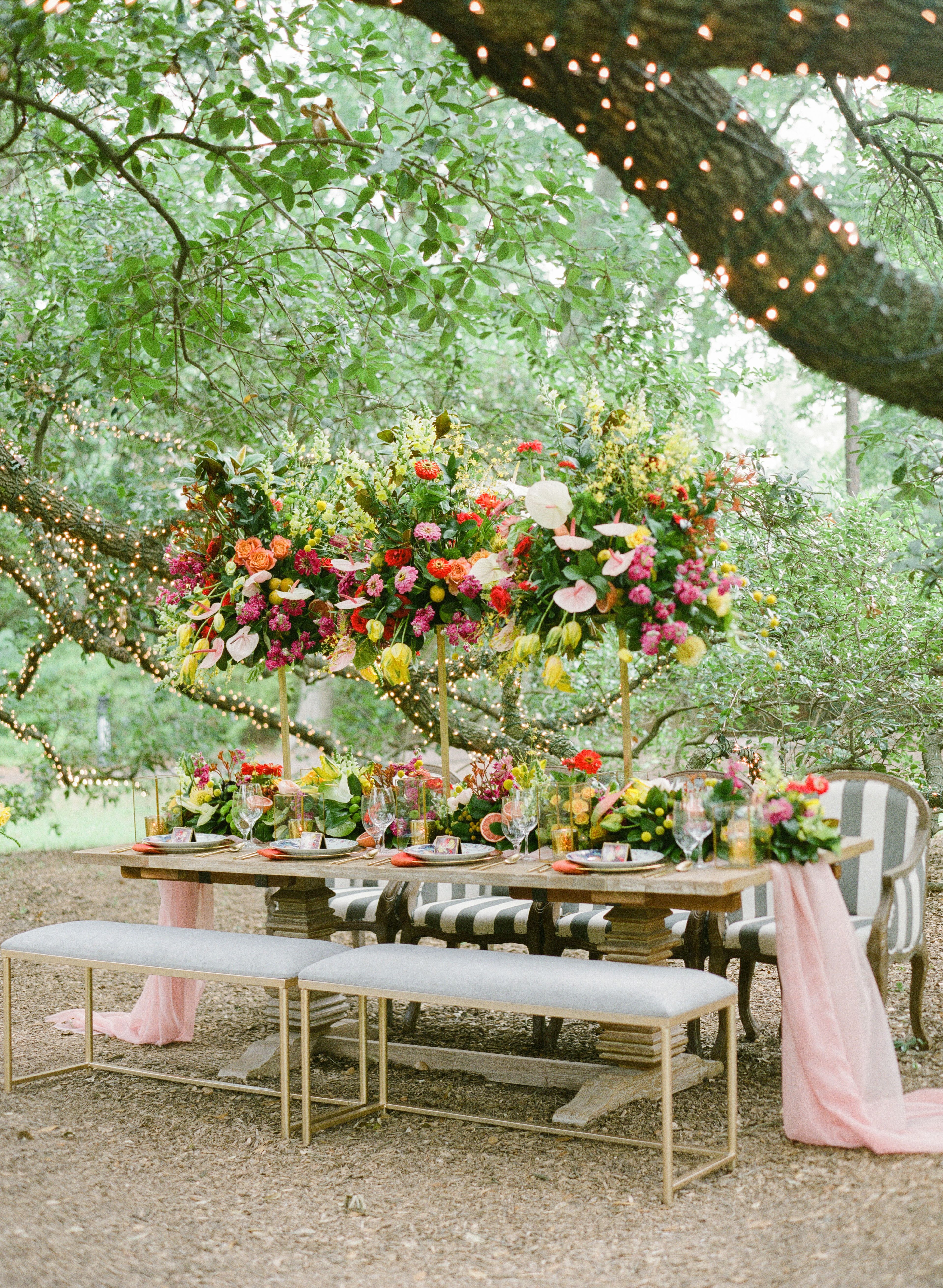 Cover photo of Bare Ranch