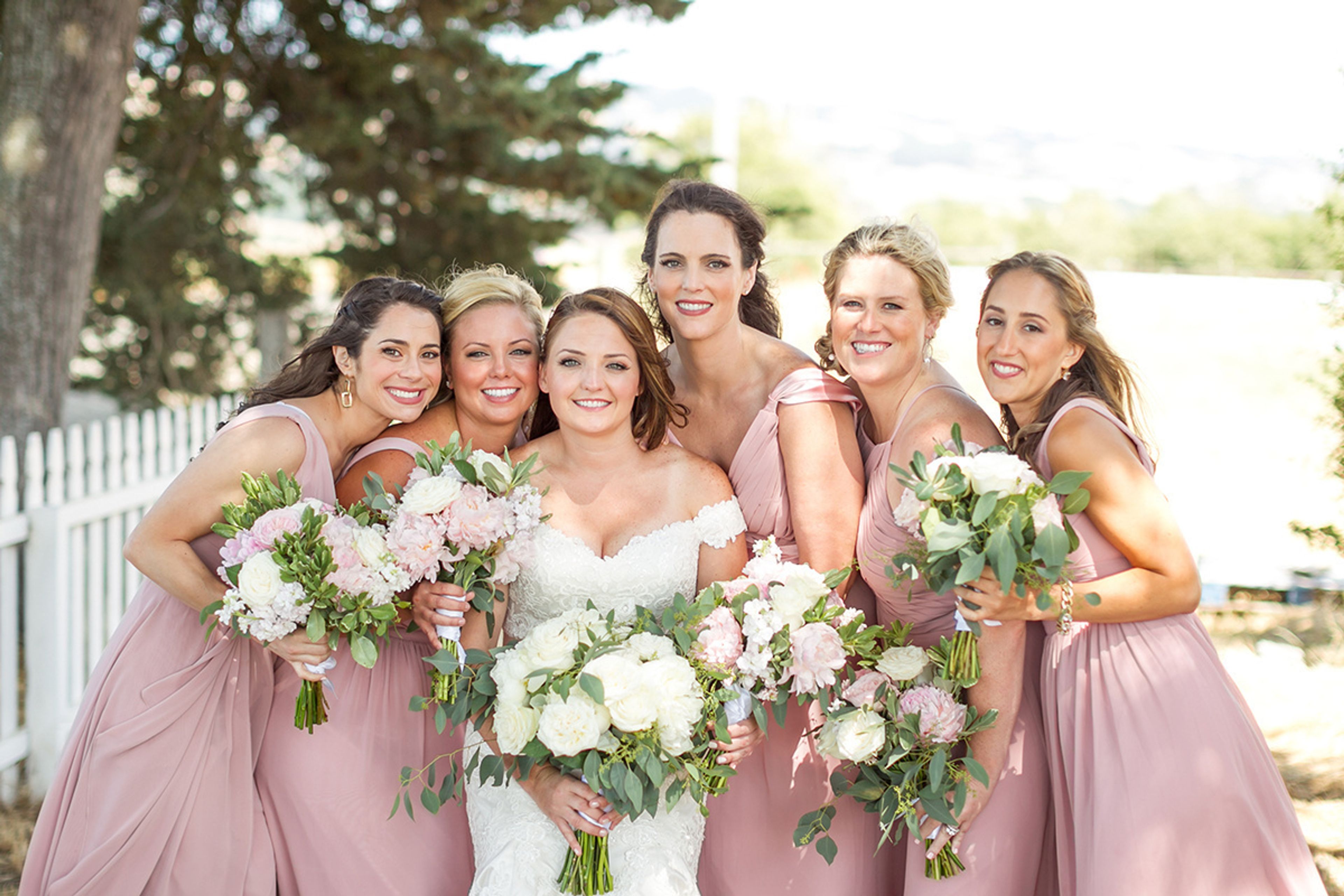 Cover photo of Flamingo