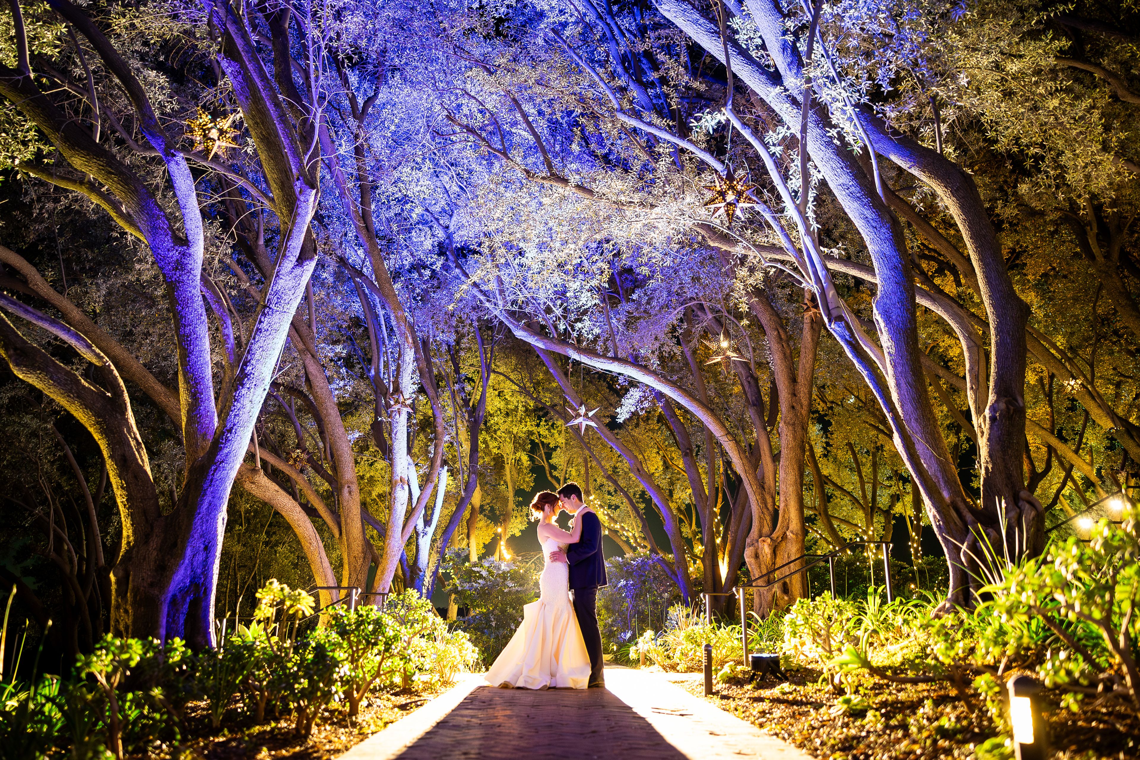 Cover photo of Padua Hills Theatre