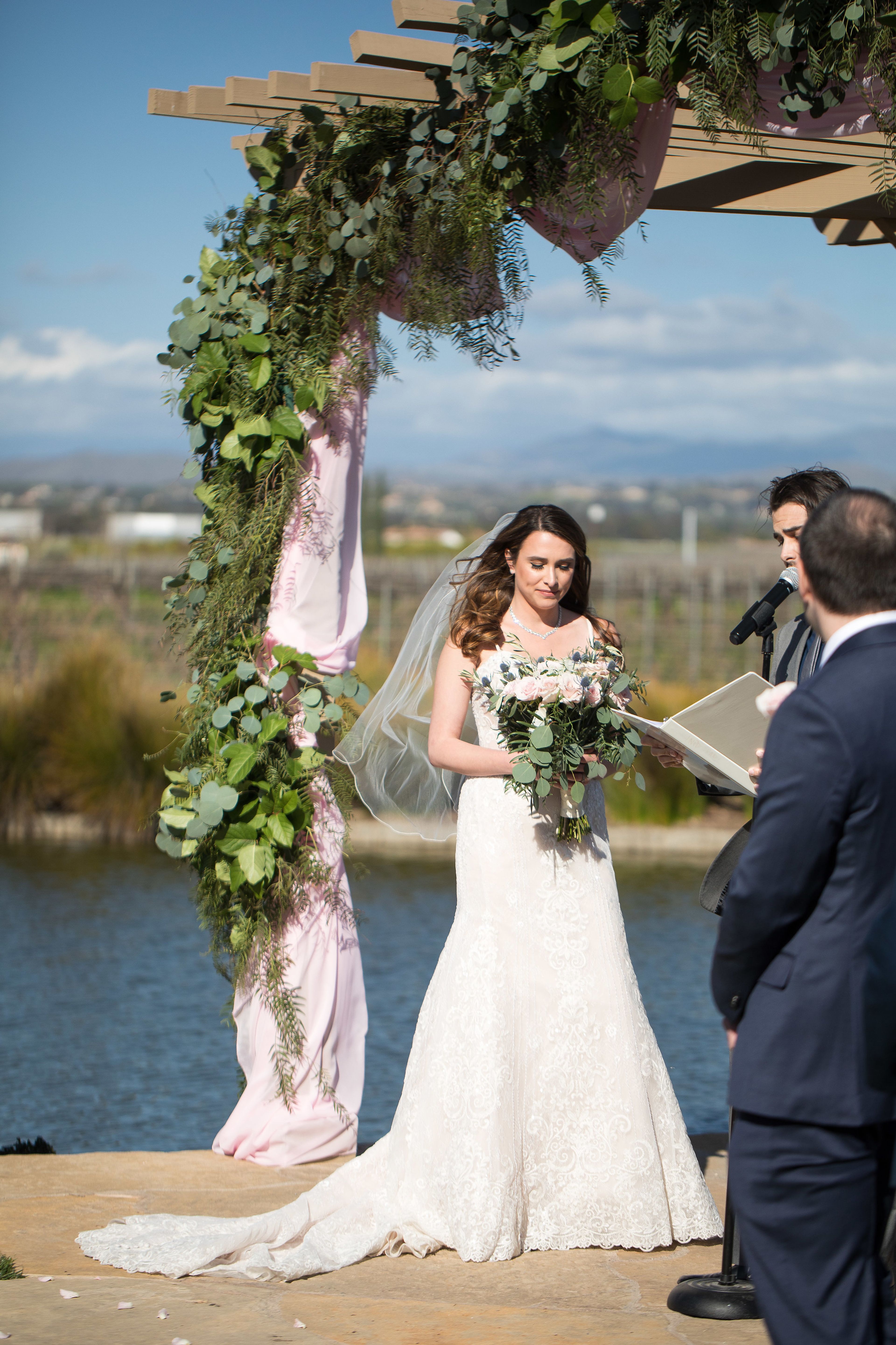 Cover photo of Ponte Winery