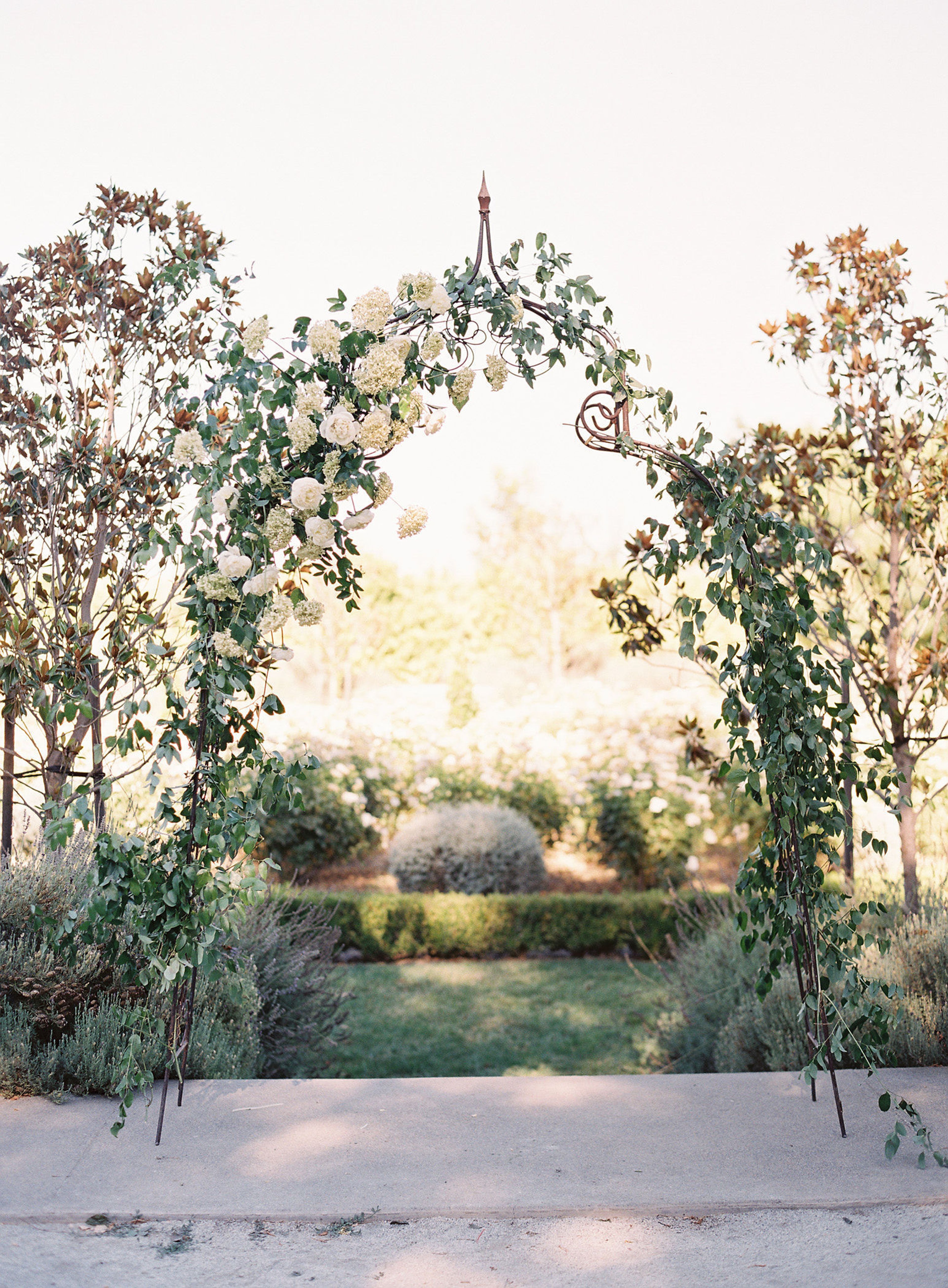 Cover photo of Park Winters