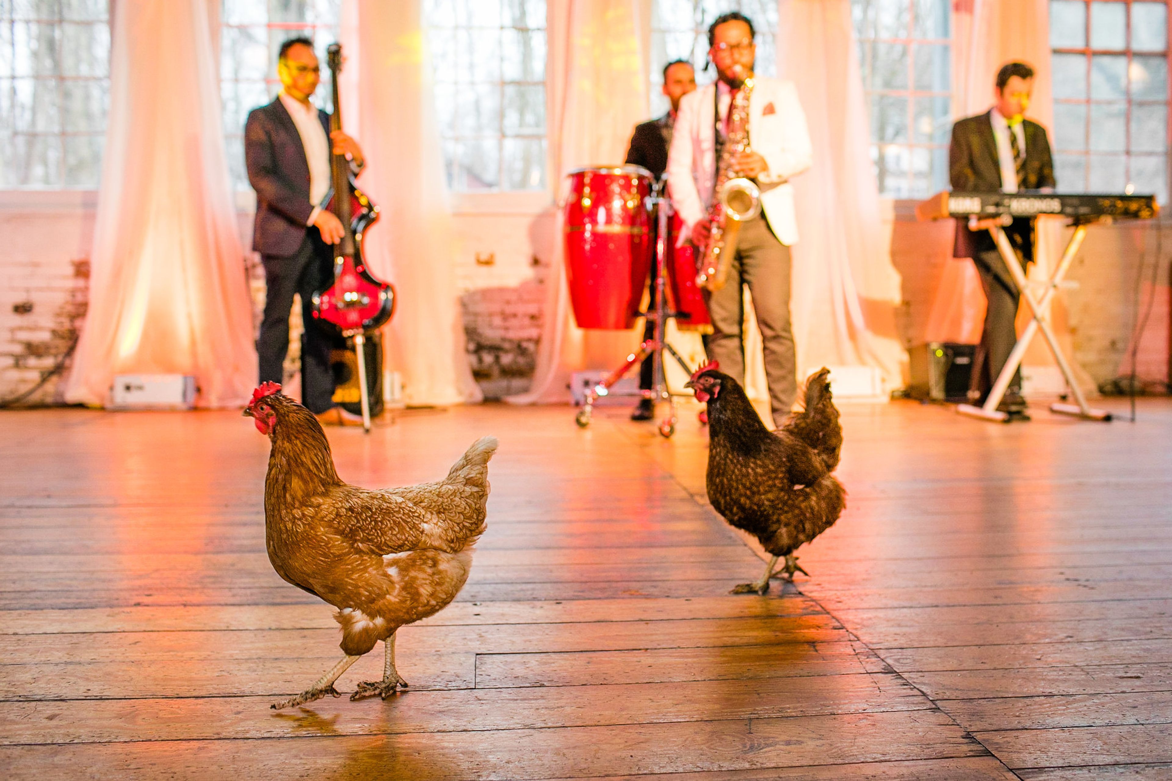 Cover photo of The Lace Factory