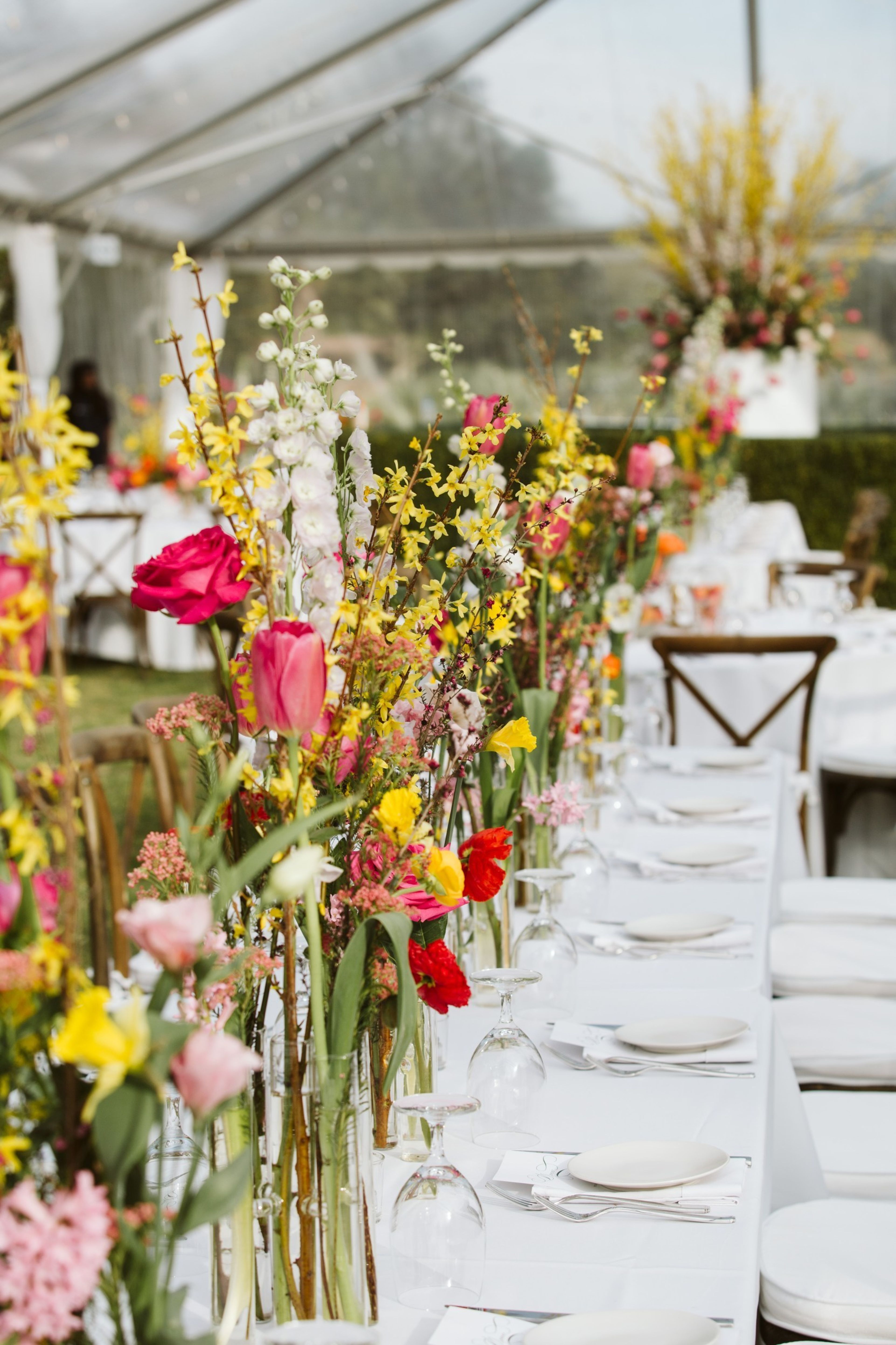 Cover photo of Historic Villa Paula