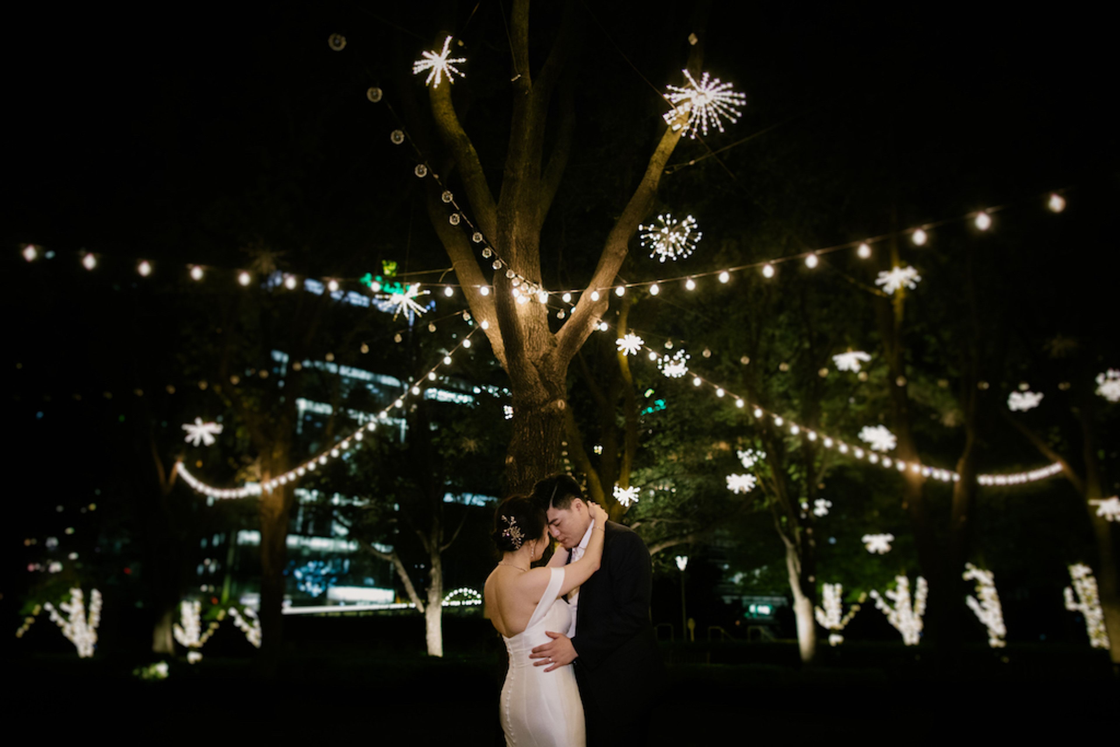 Featured photo from The Robbins Nest