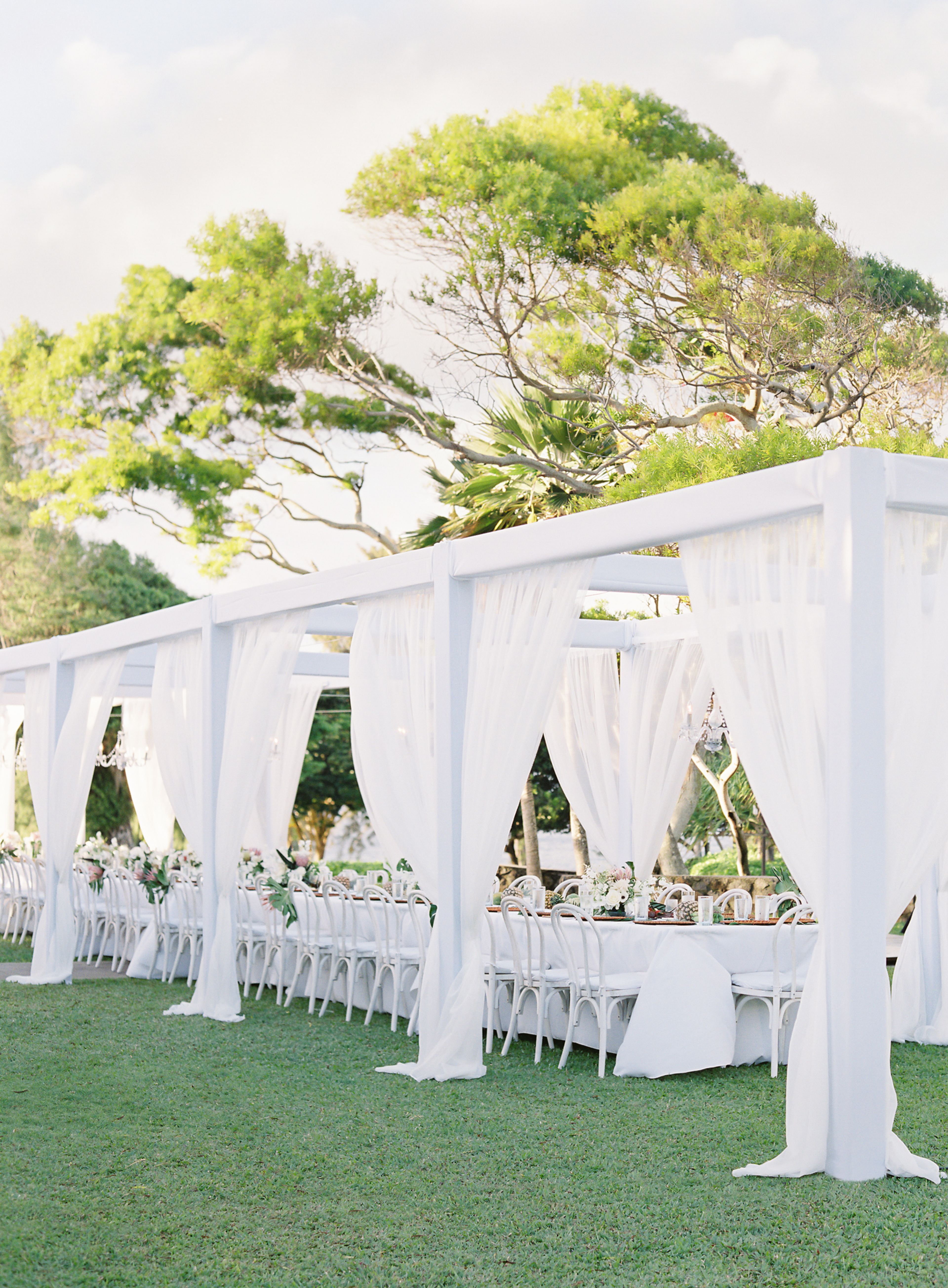 Cover photo of The Steeple House