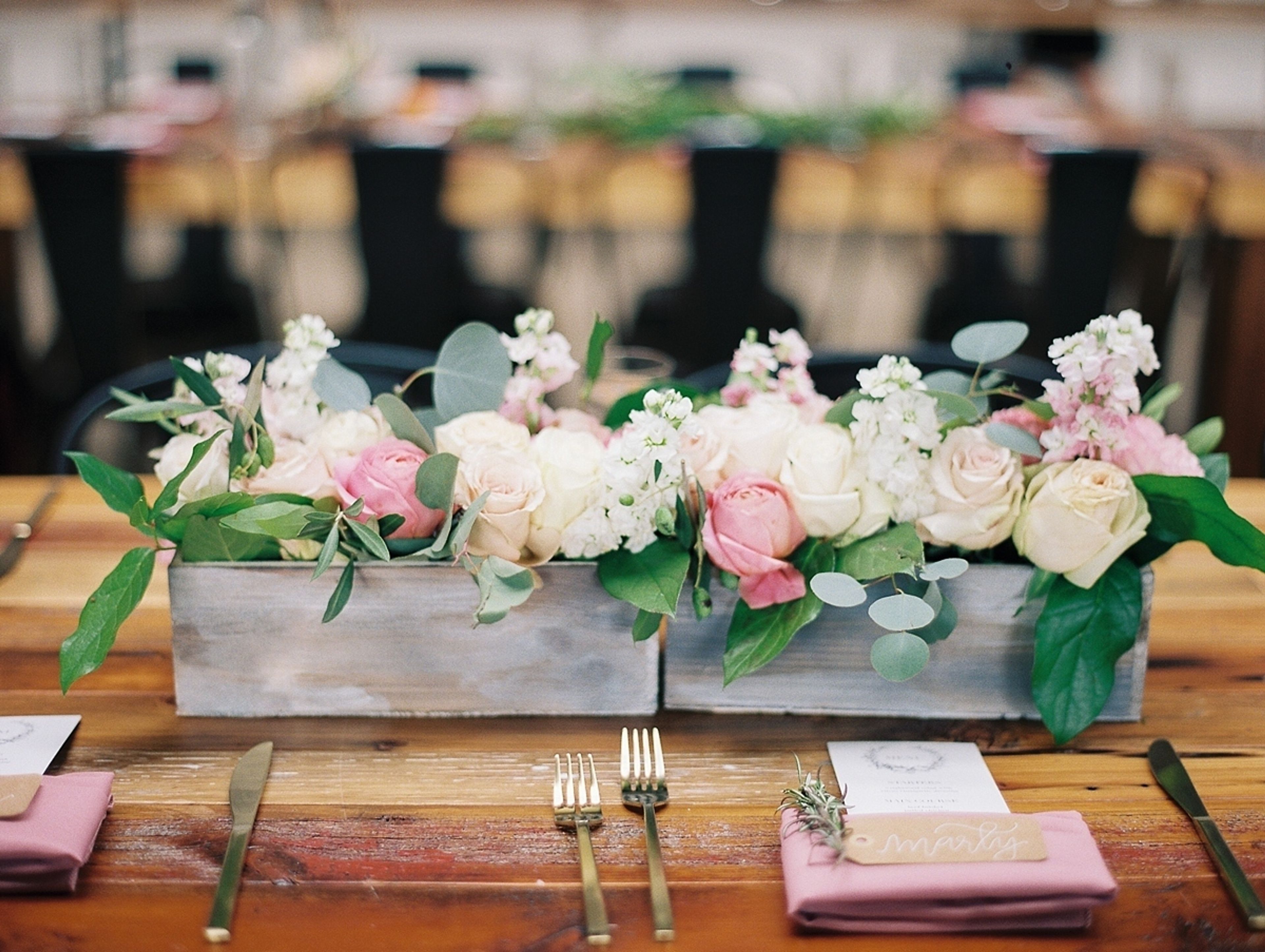 Cover photo of The Bread & Butterfly