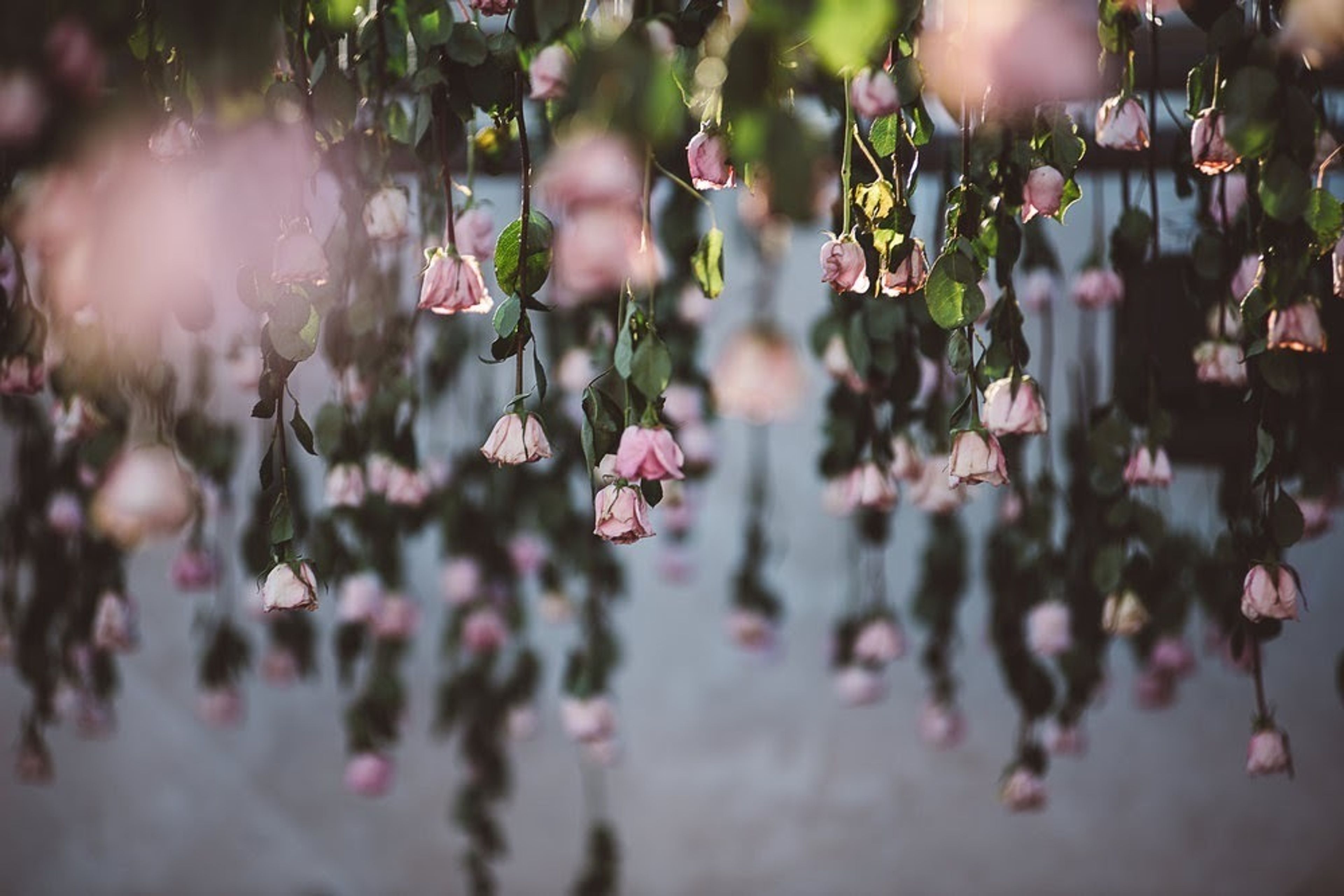 Cover photo of The Venue Las Vegas