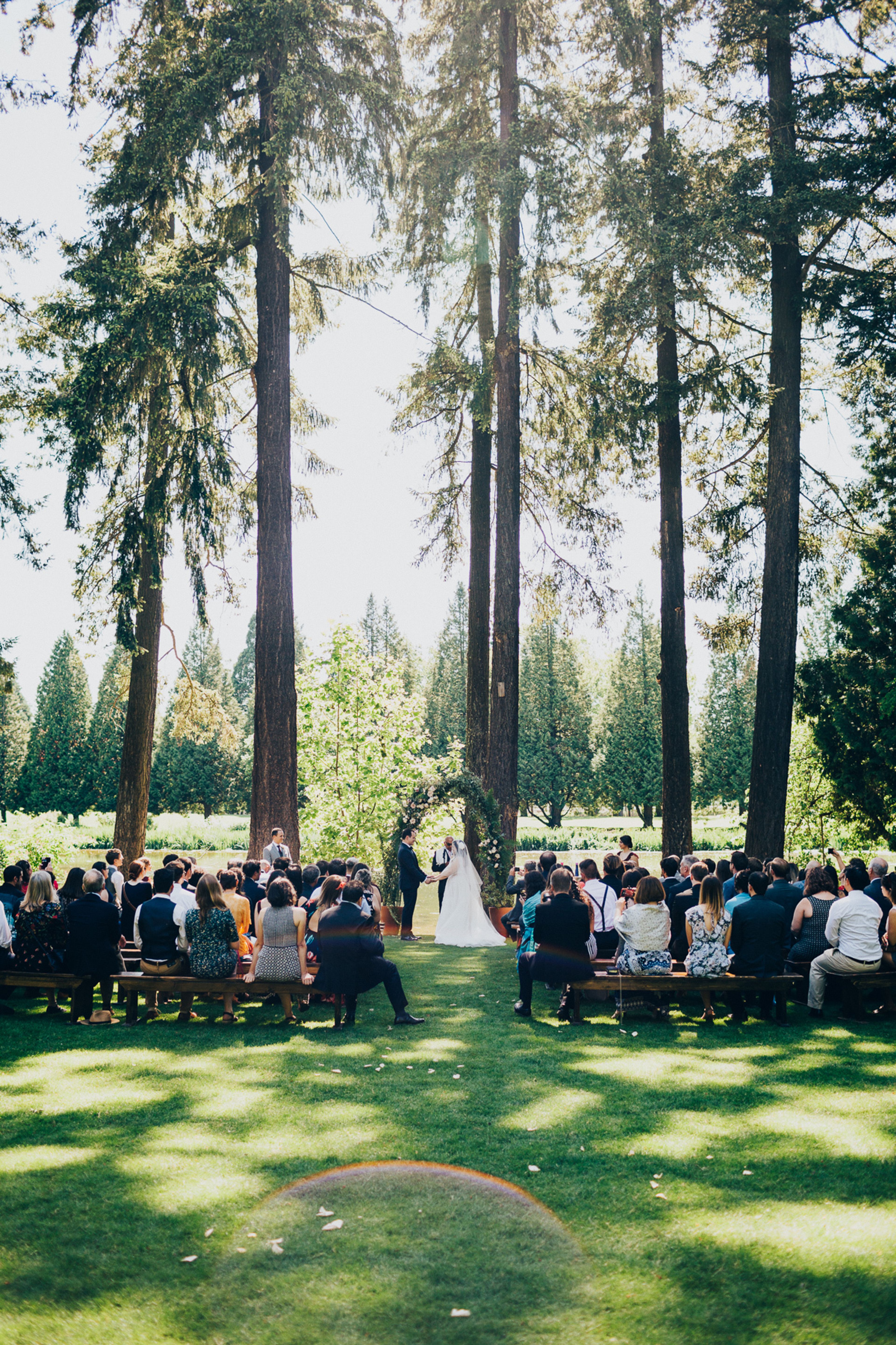 Cover photo of Crystal Springs Rhododendron Garden