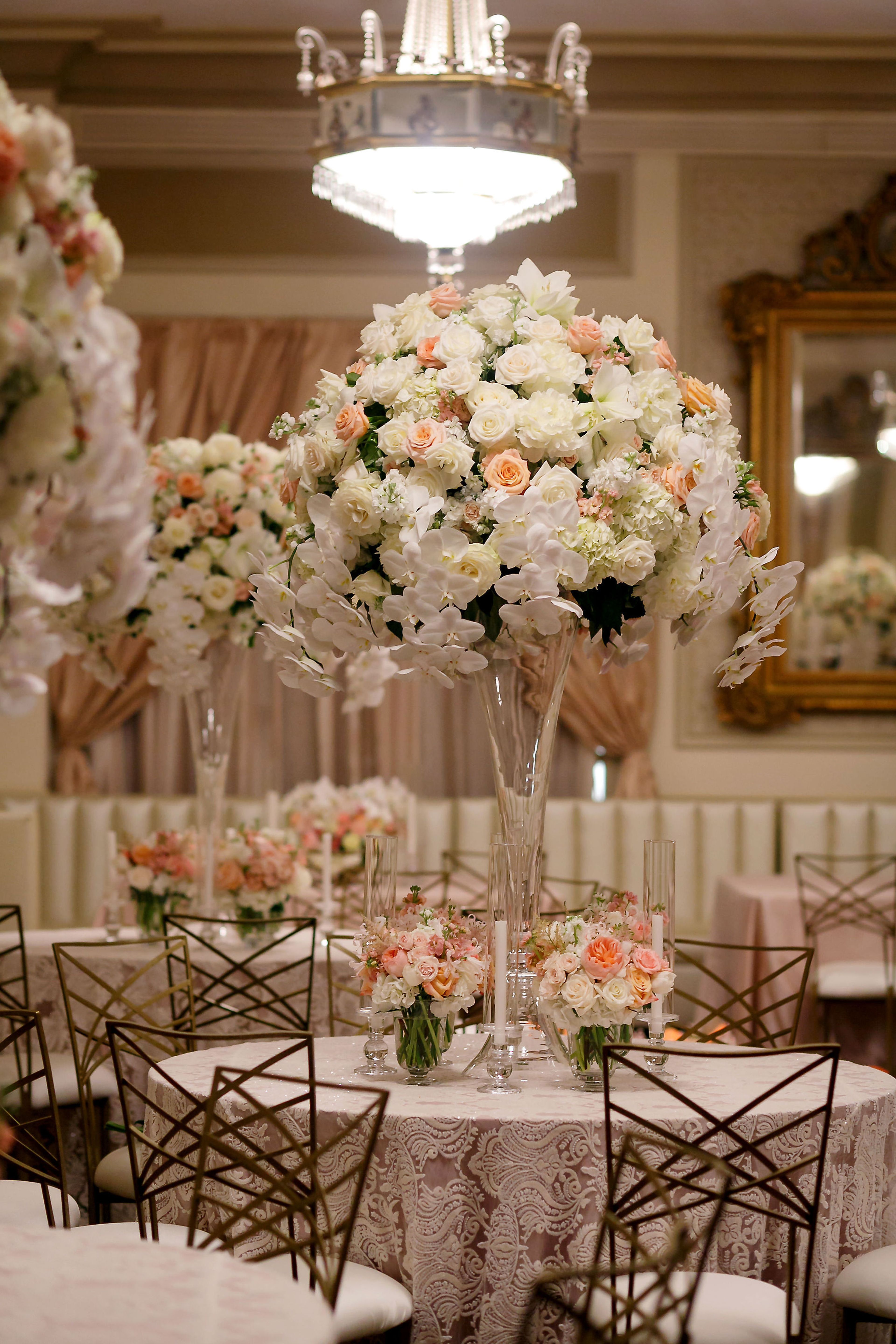 Cover photo of The Stephen F Austin Royal Sonesta Hotel