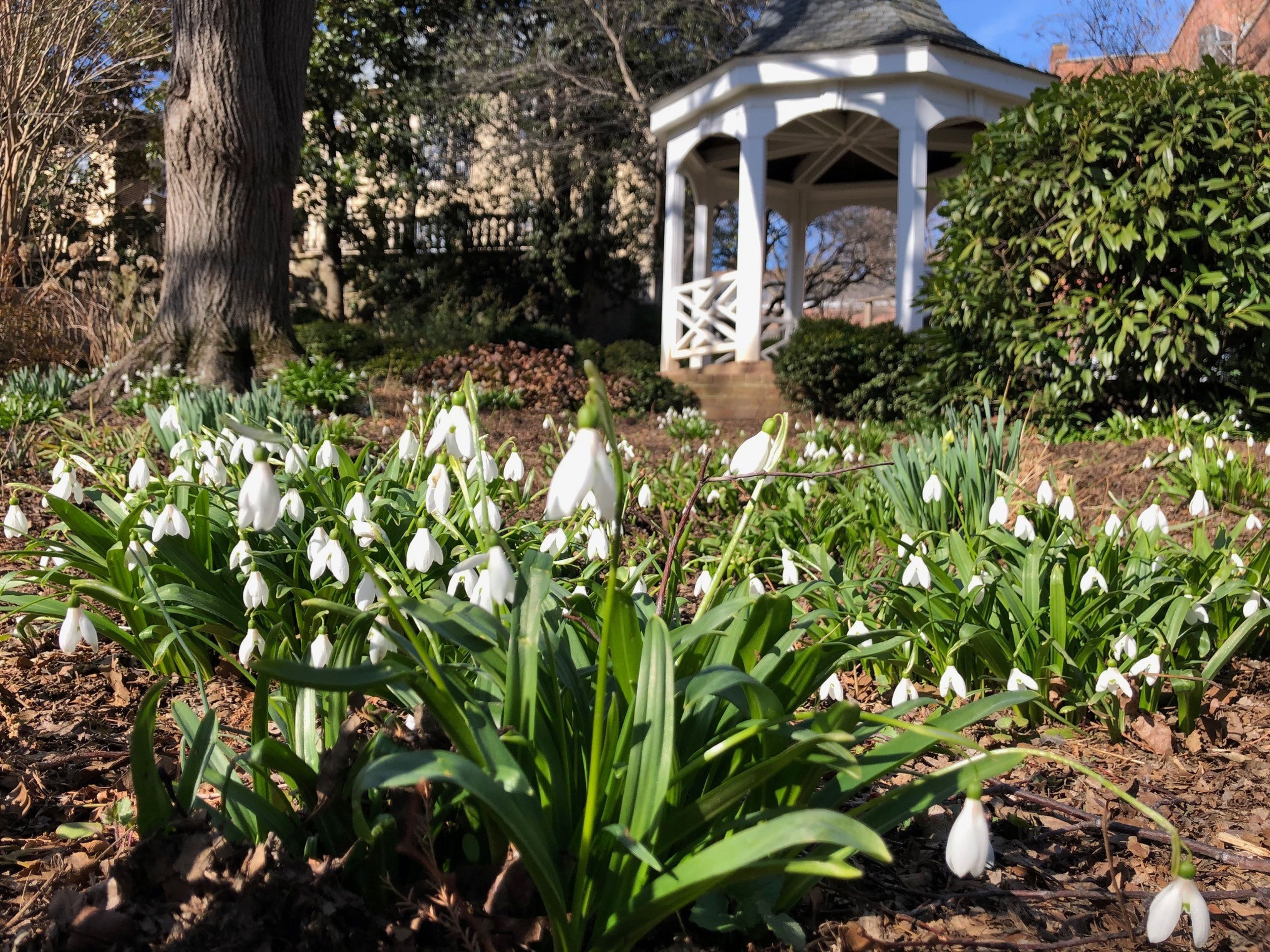 Cover photo of Carlyle House Historic Park