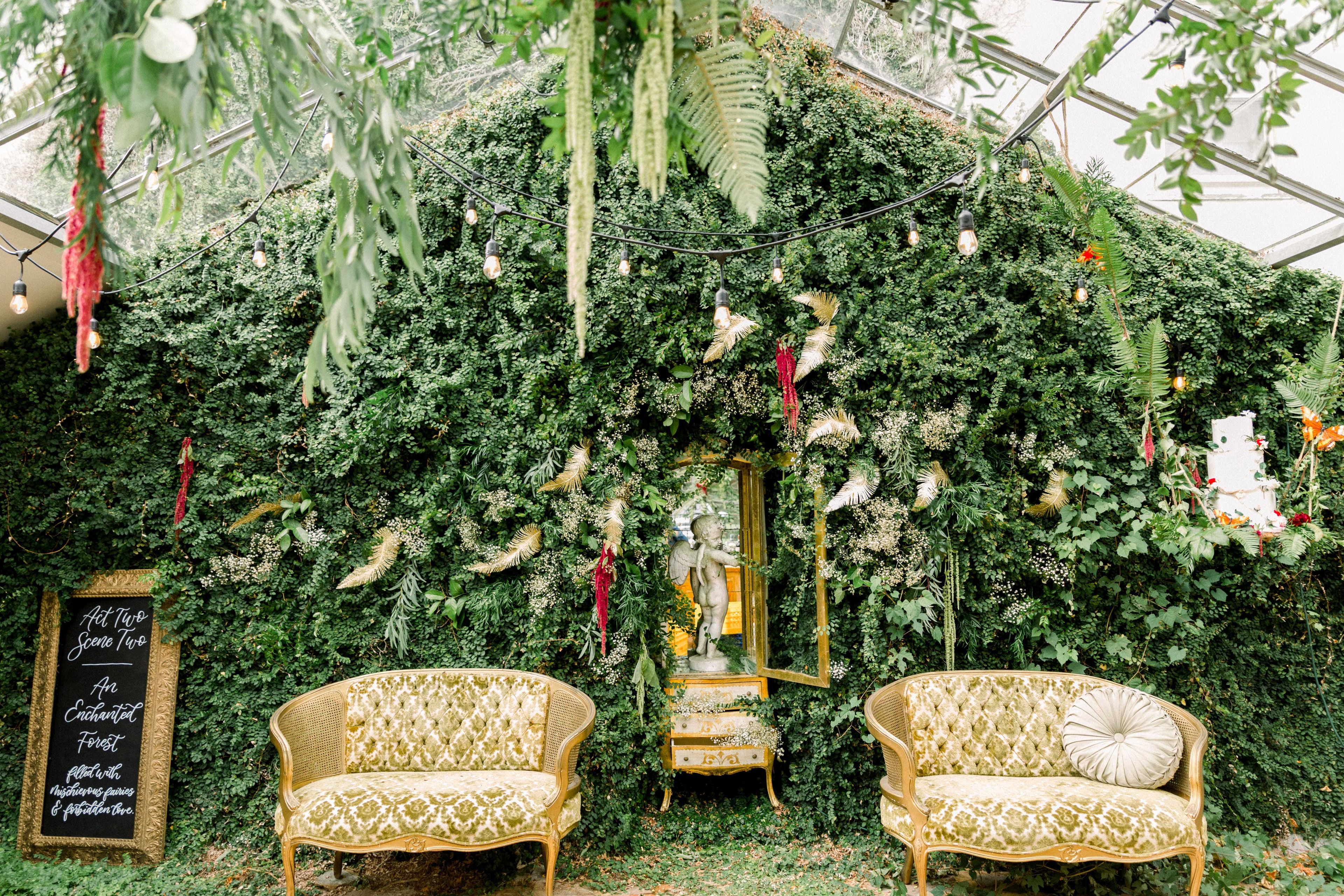 Cover photo of The Drawing Room