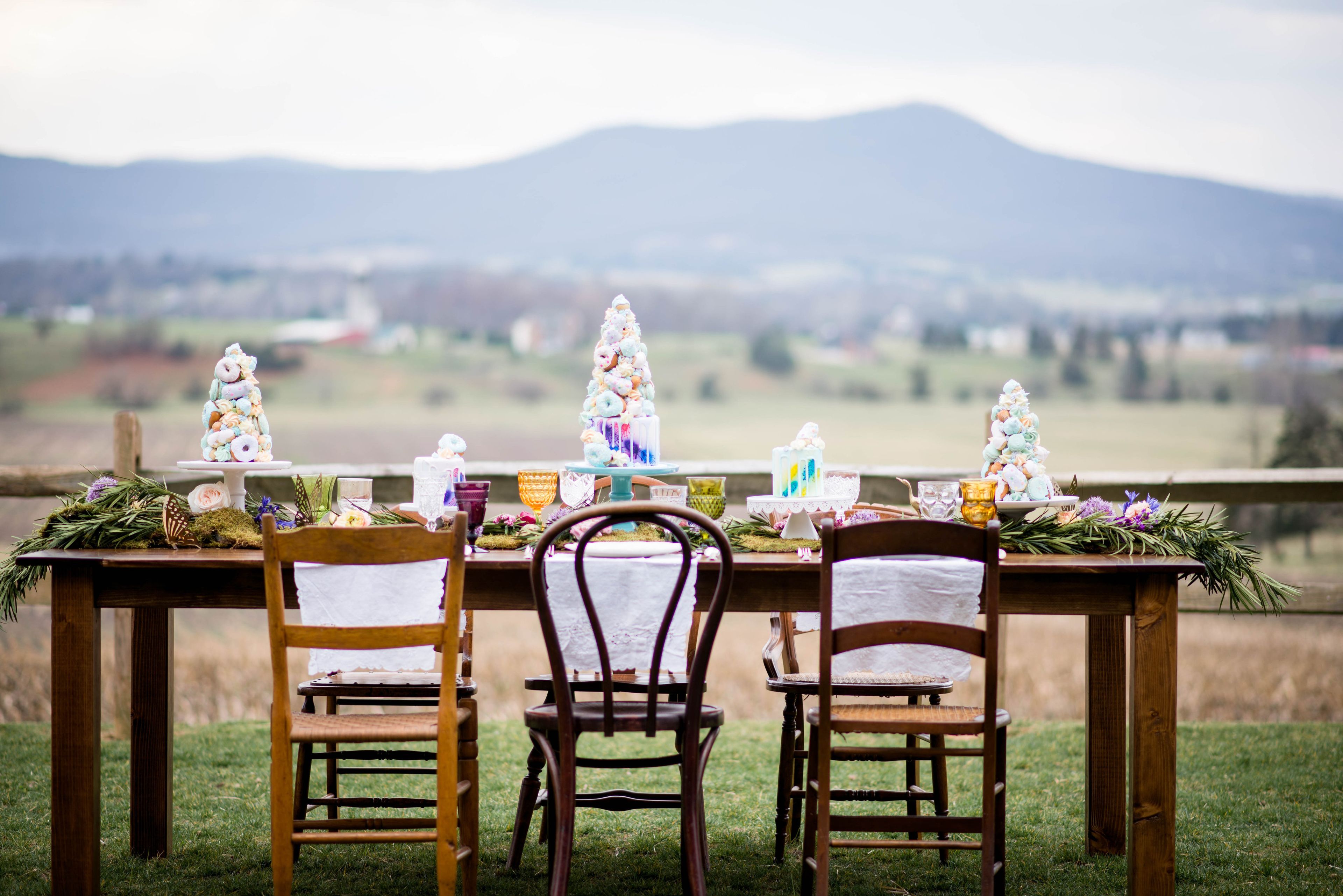 Cover photo of Shenandoah Woods