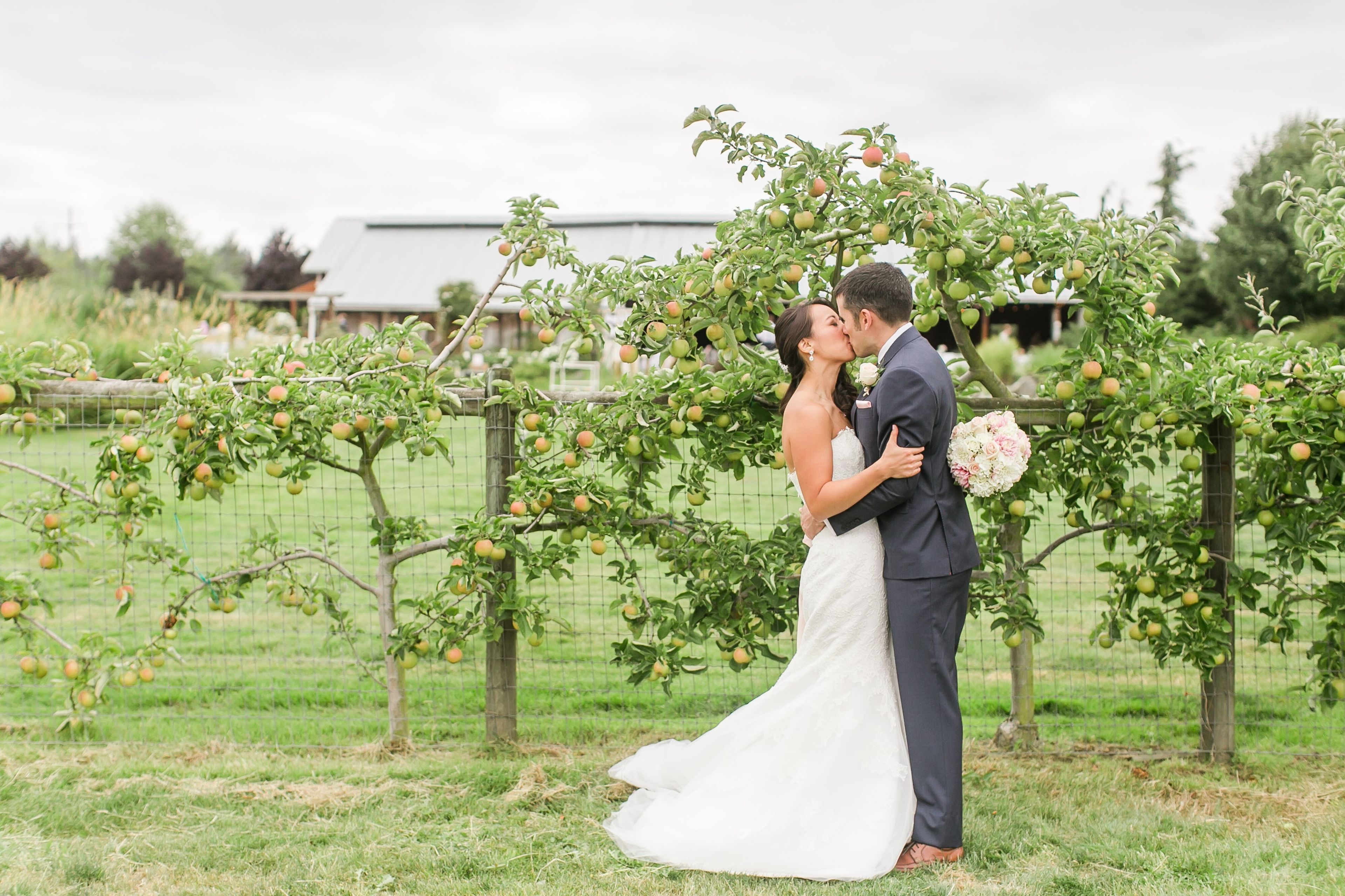 Cover photo of Swans Trail Farms