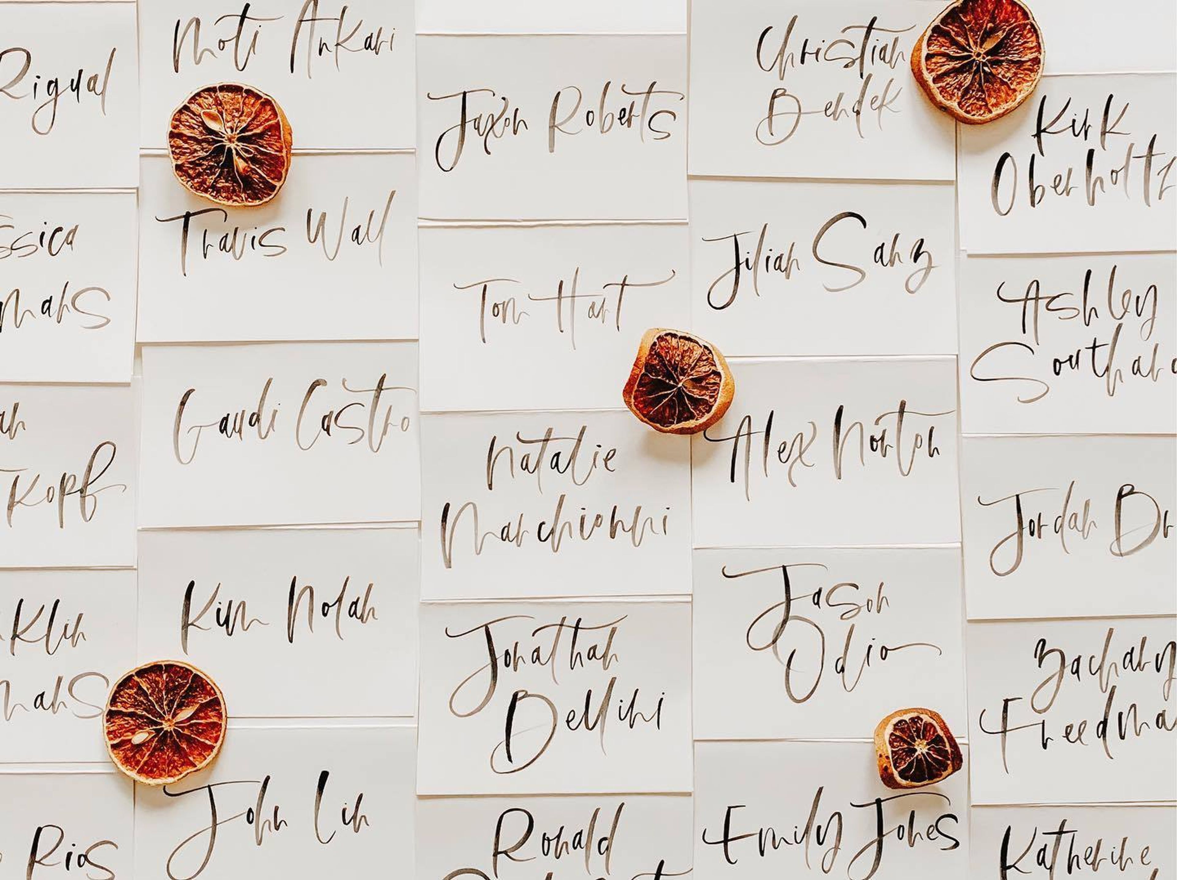 Cover photo of Salvaging Eden