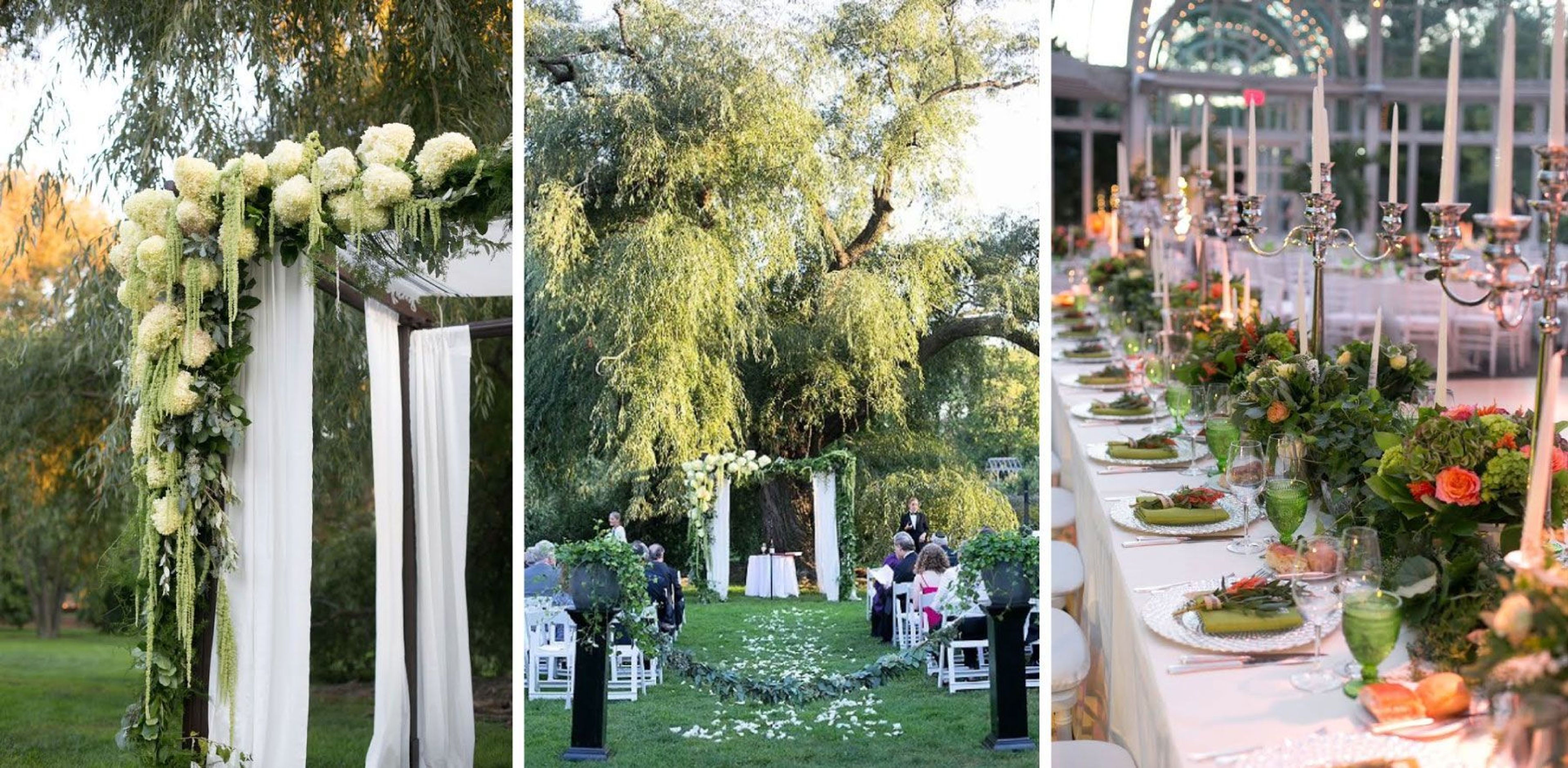 Cover photo of ÉLAN FLOWERS