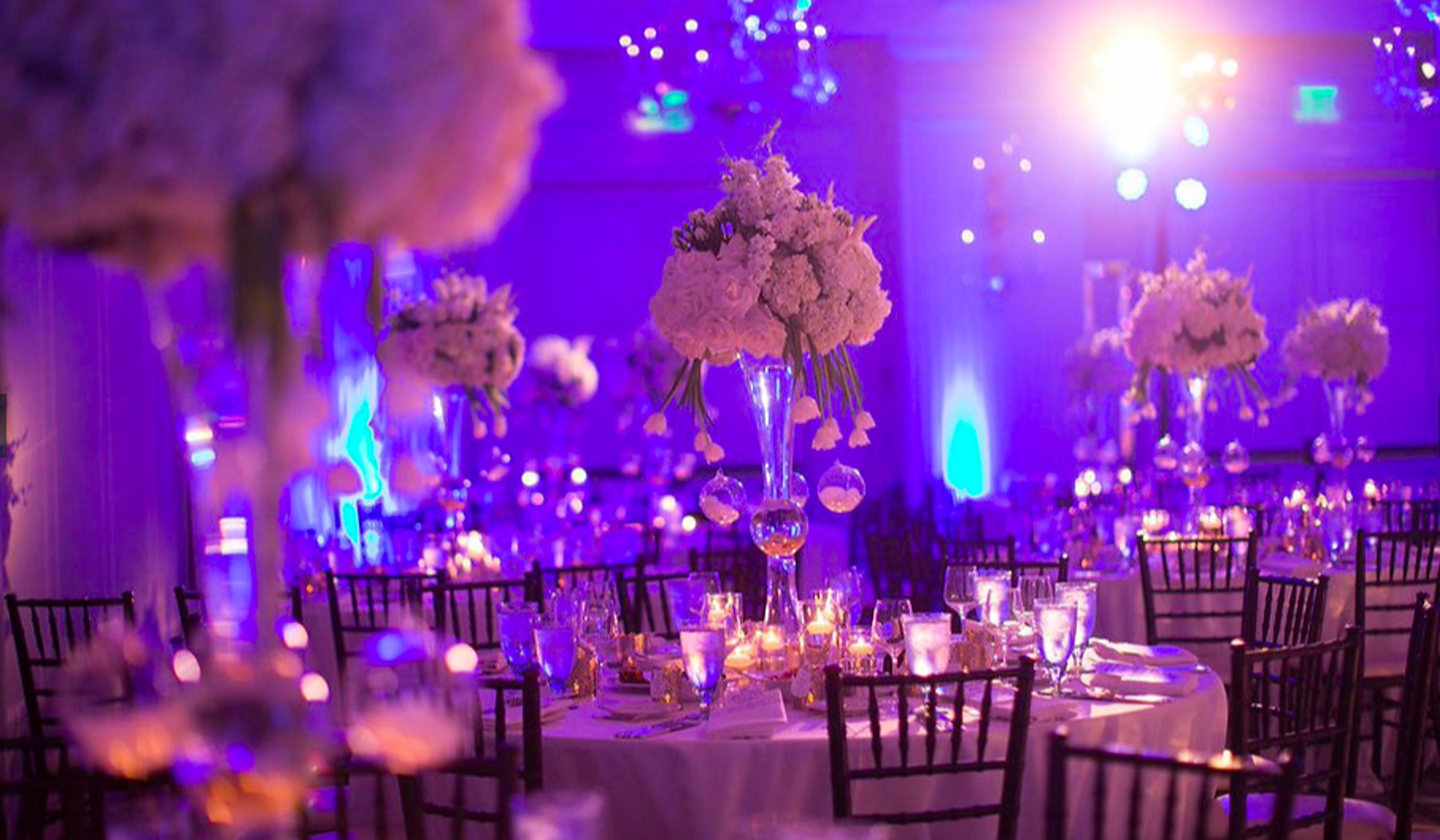 Cover photo of Buds & Blooms LA