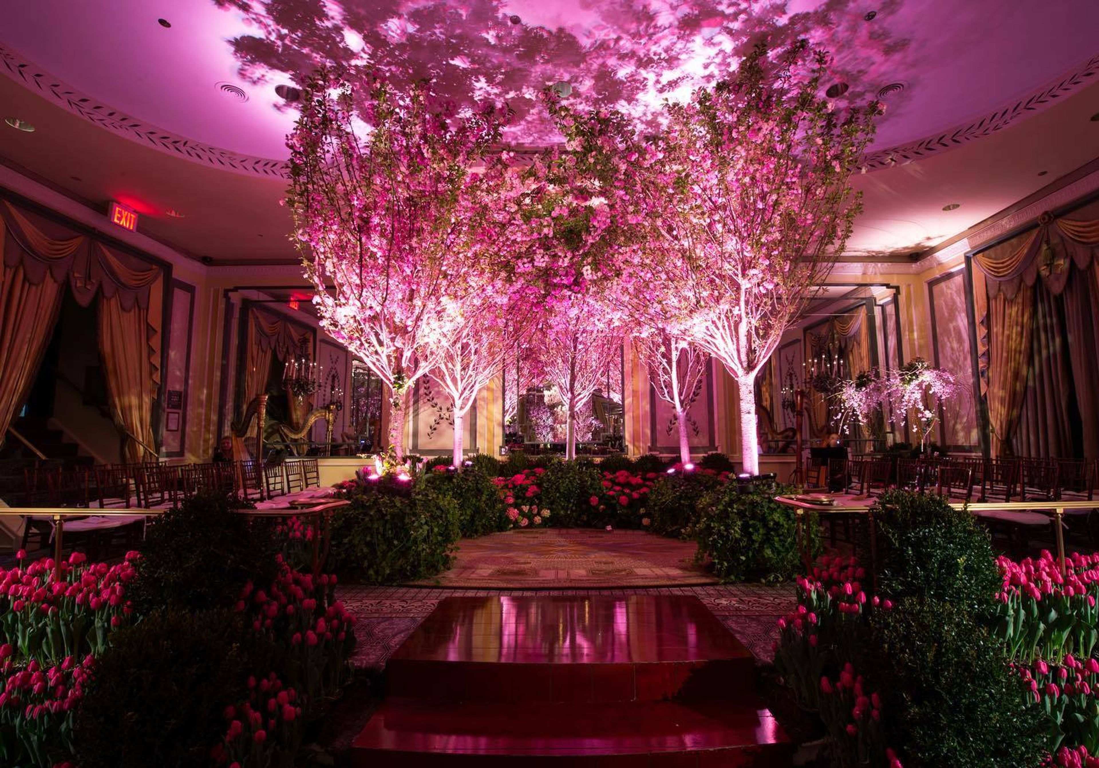 Cover photo of Lawrence Scott Events