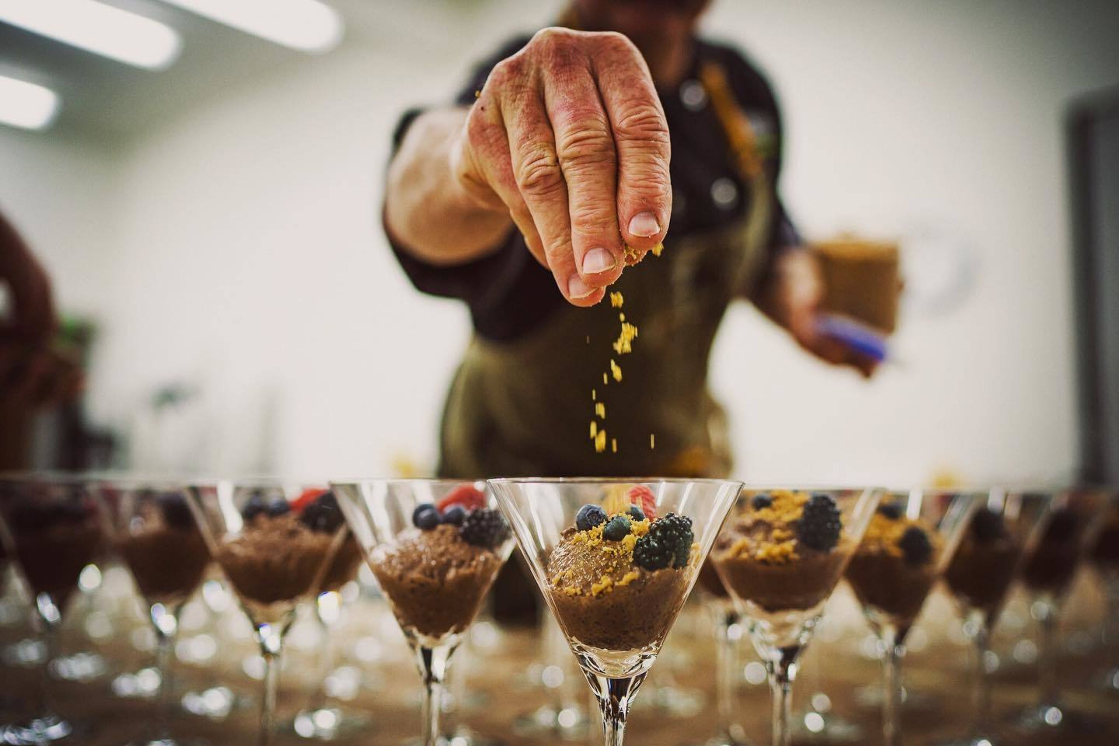 Cover photo of Primal Alchemy