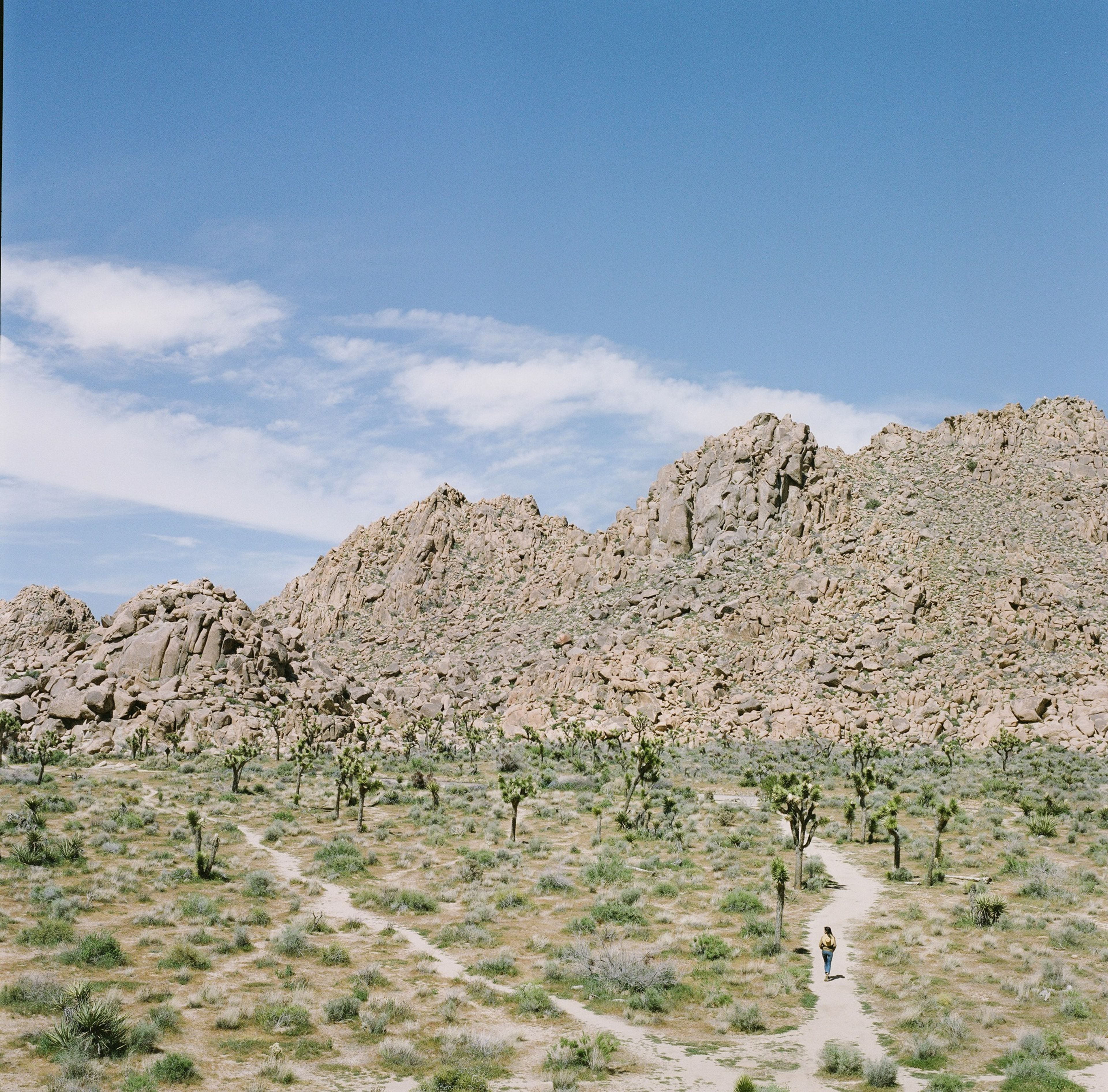 Cover photo of Margot Landen Photography