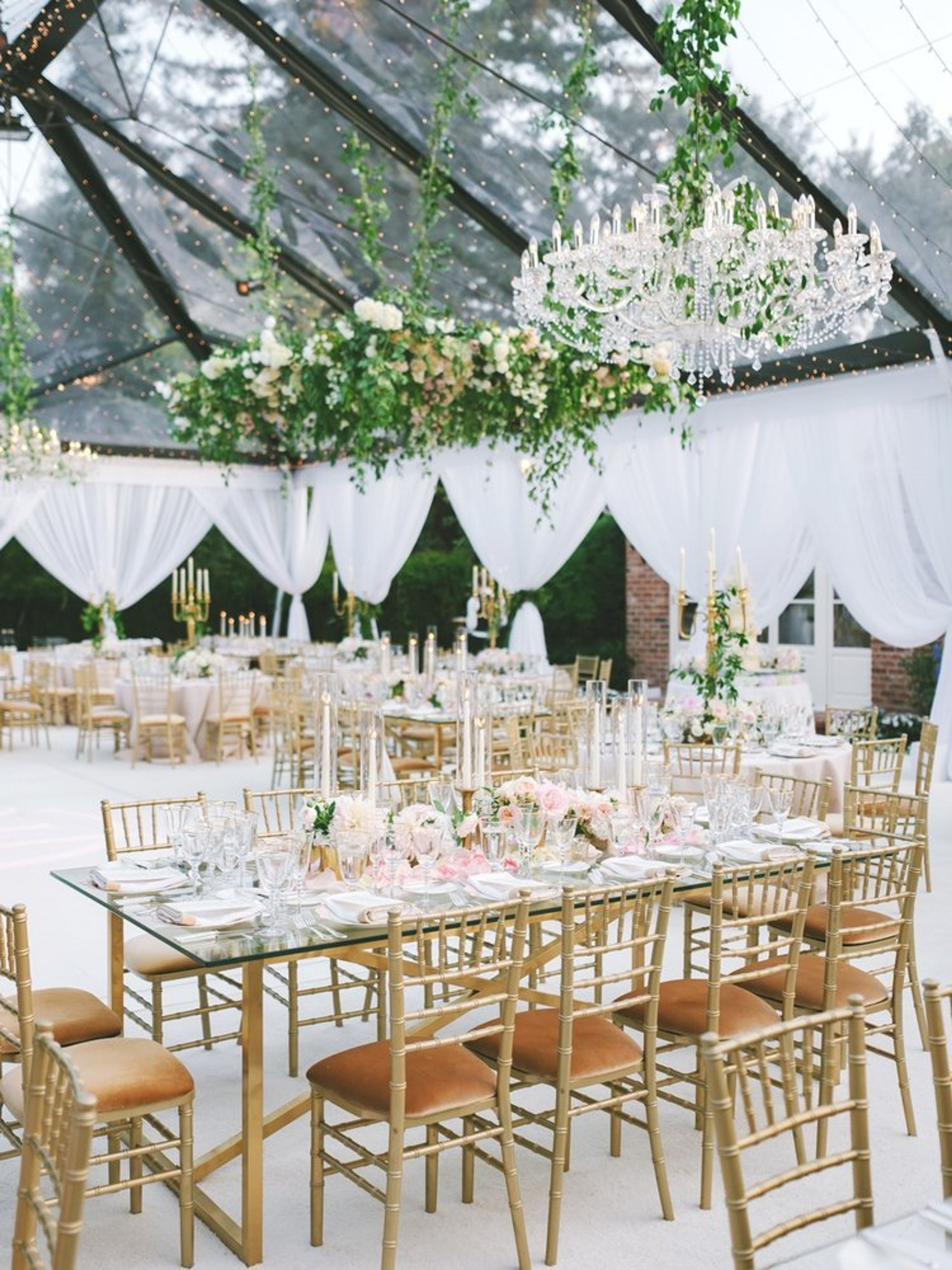 Cover photo of Cherries Flowers