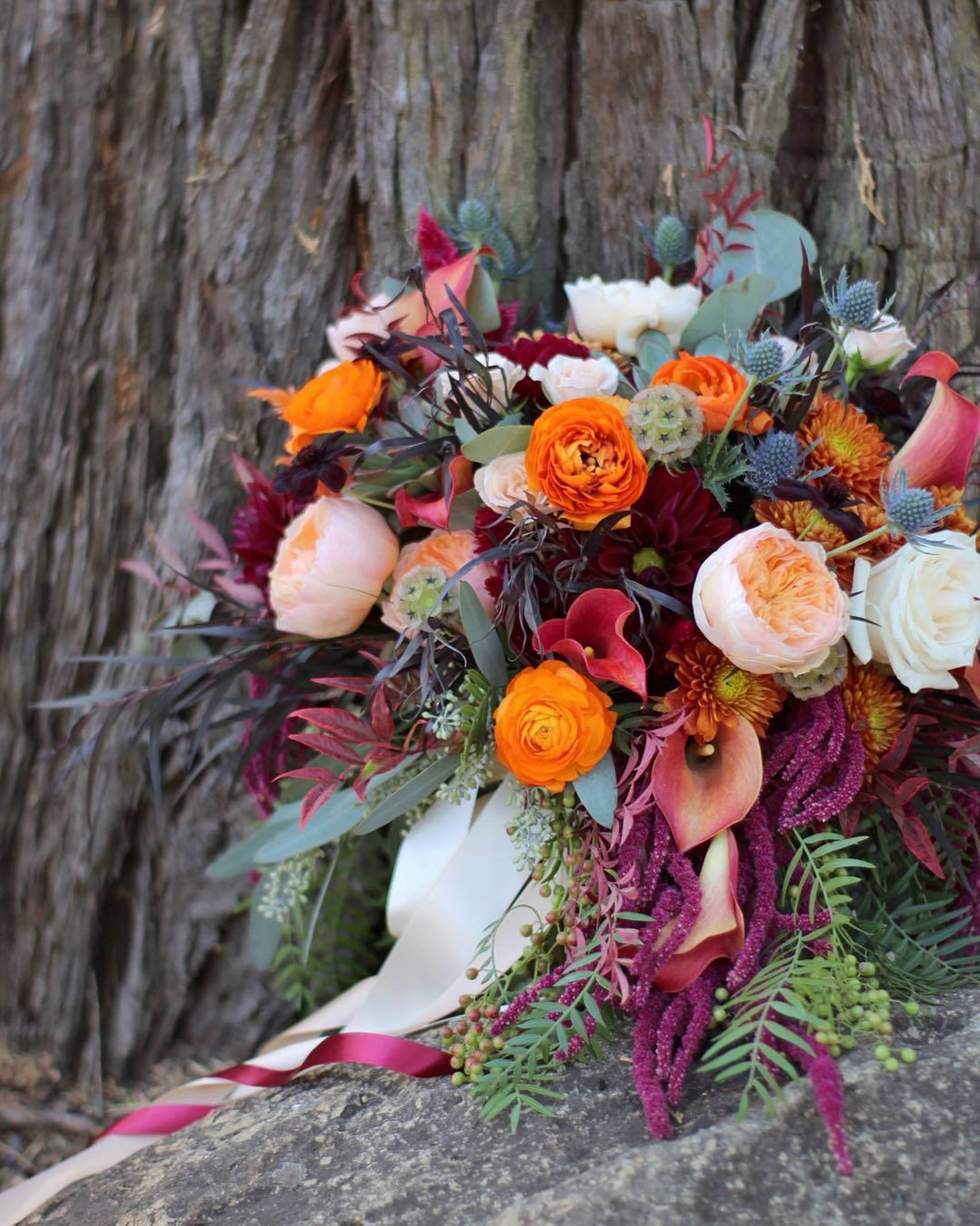 Cover photo of Posh Posy