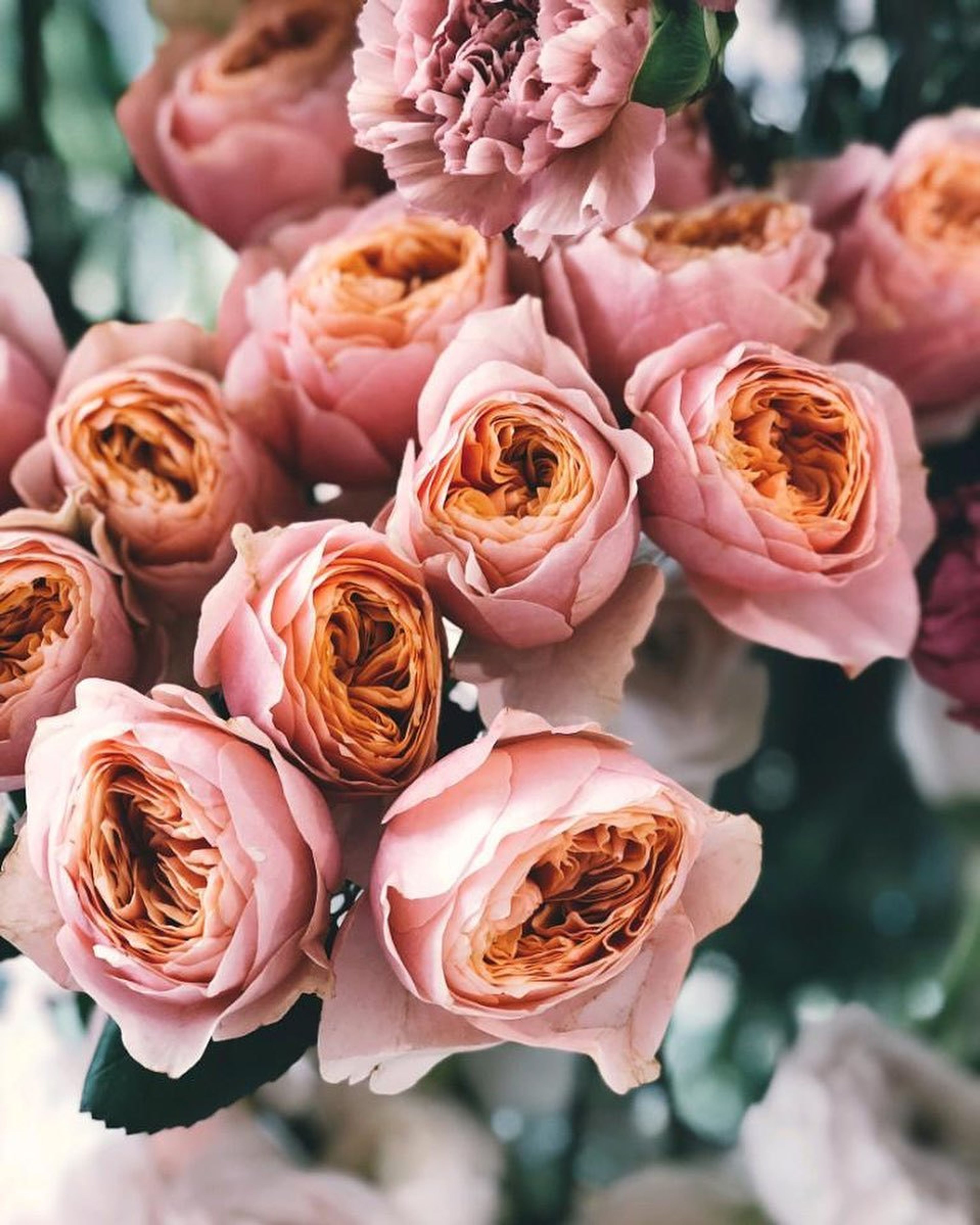 Cover photo of Darra Michelle Events