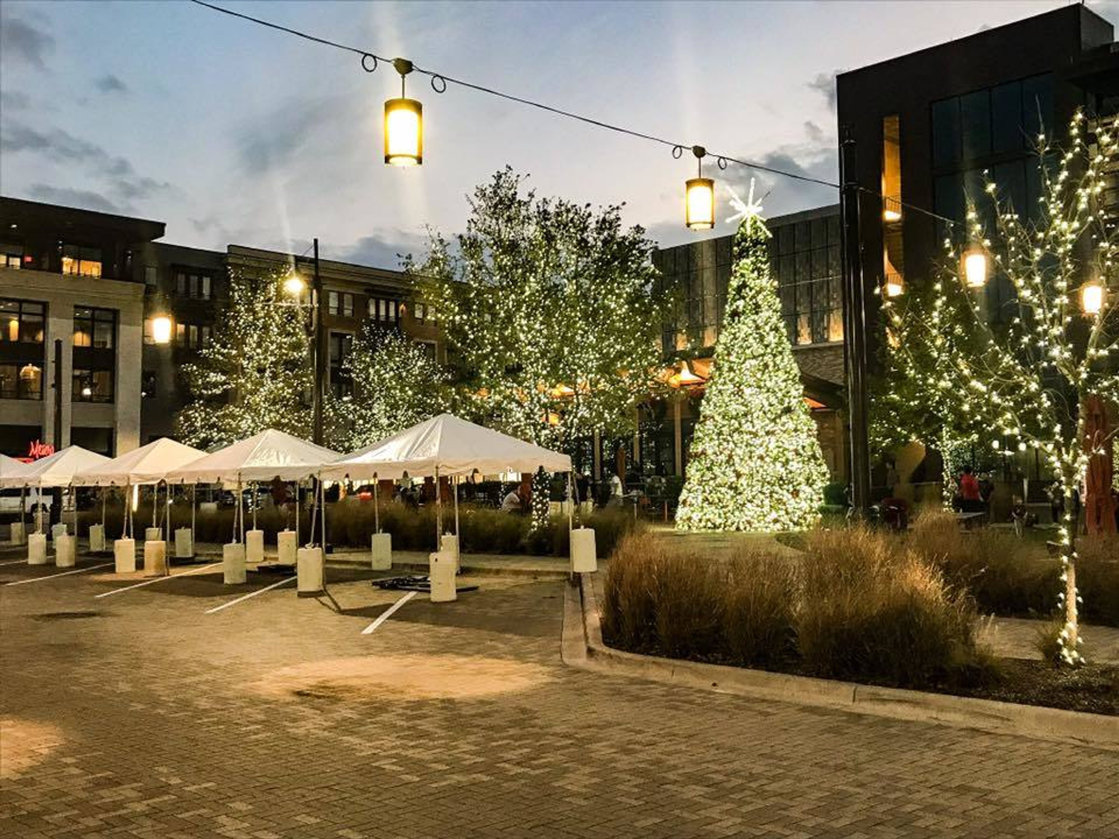 Cover photo of Taylor's Rental Equipment Co.