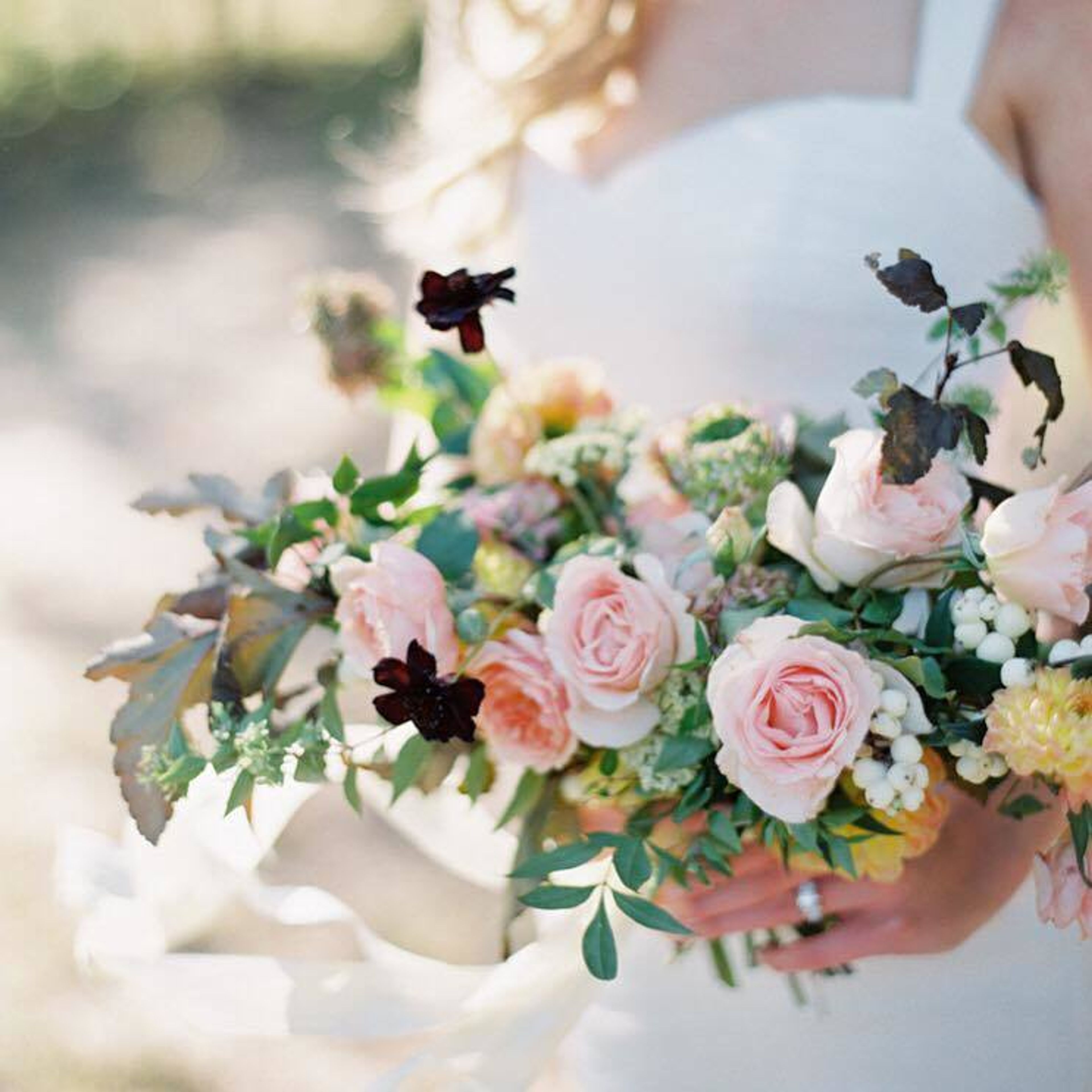 Cover photo of Bethany Erin