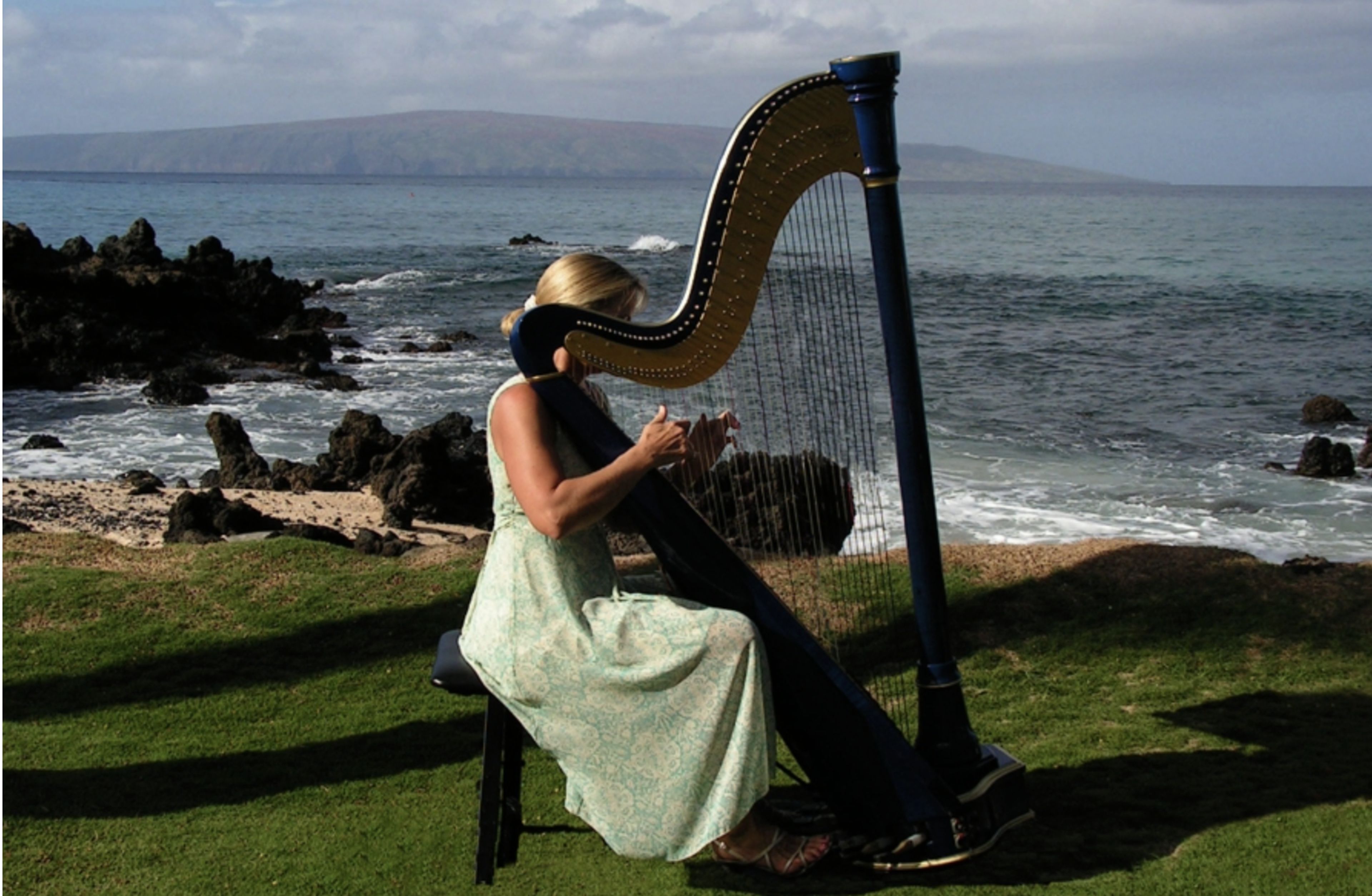 Cover photo of Maui Harps