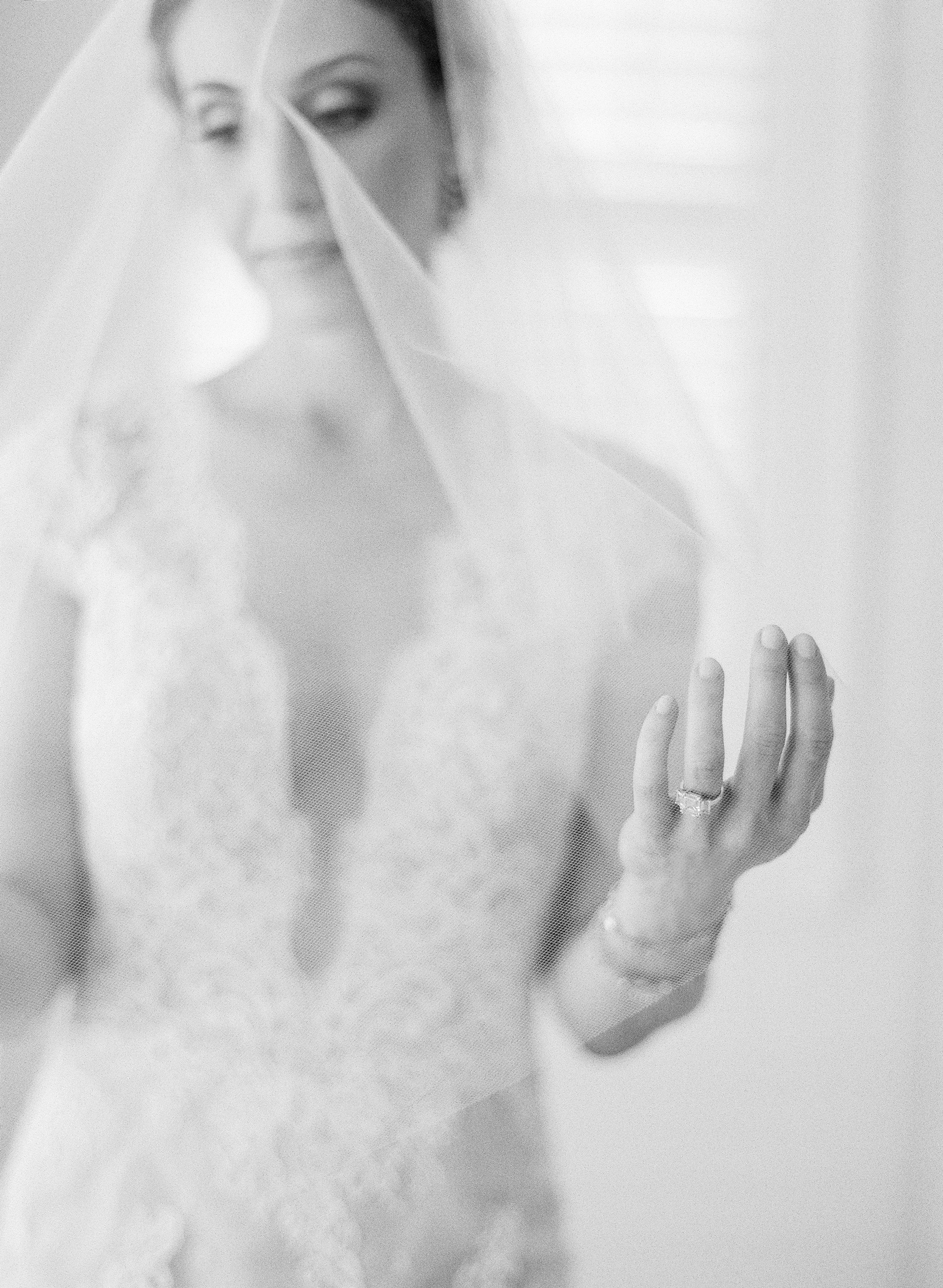 Cover photo of Bellafare