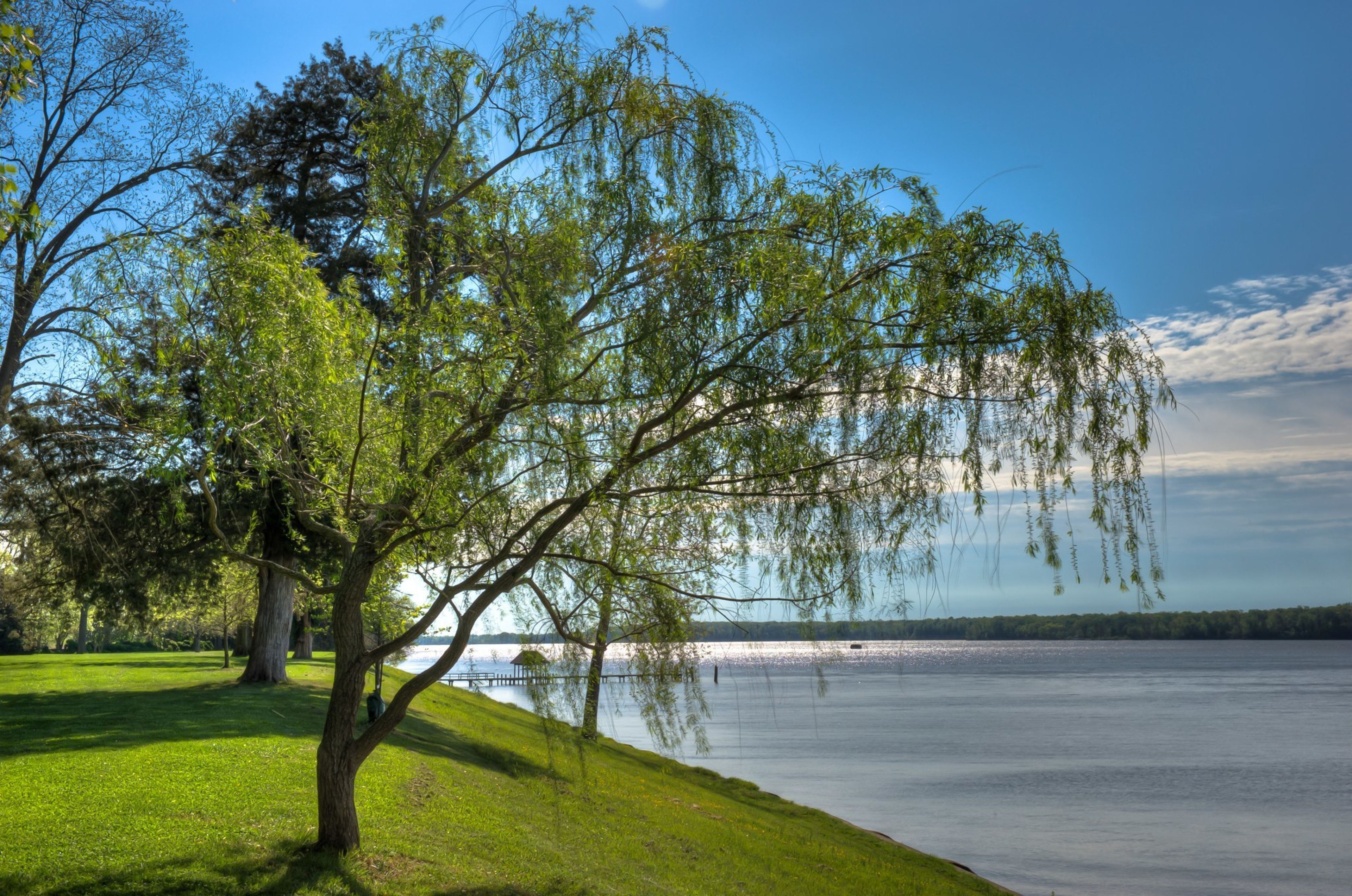 Cover photo of Westover Plantation