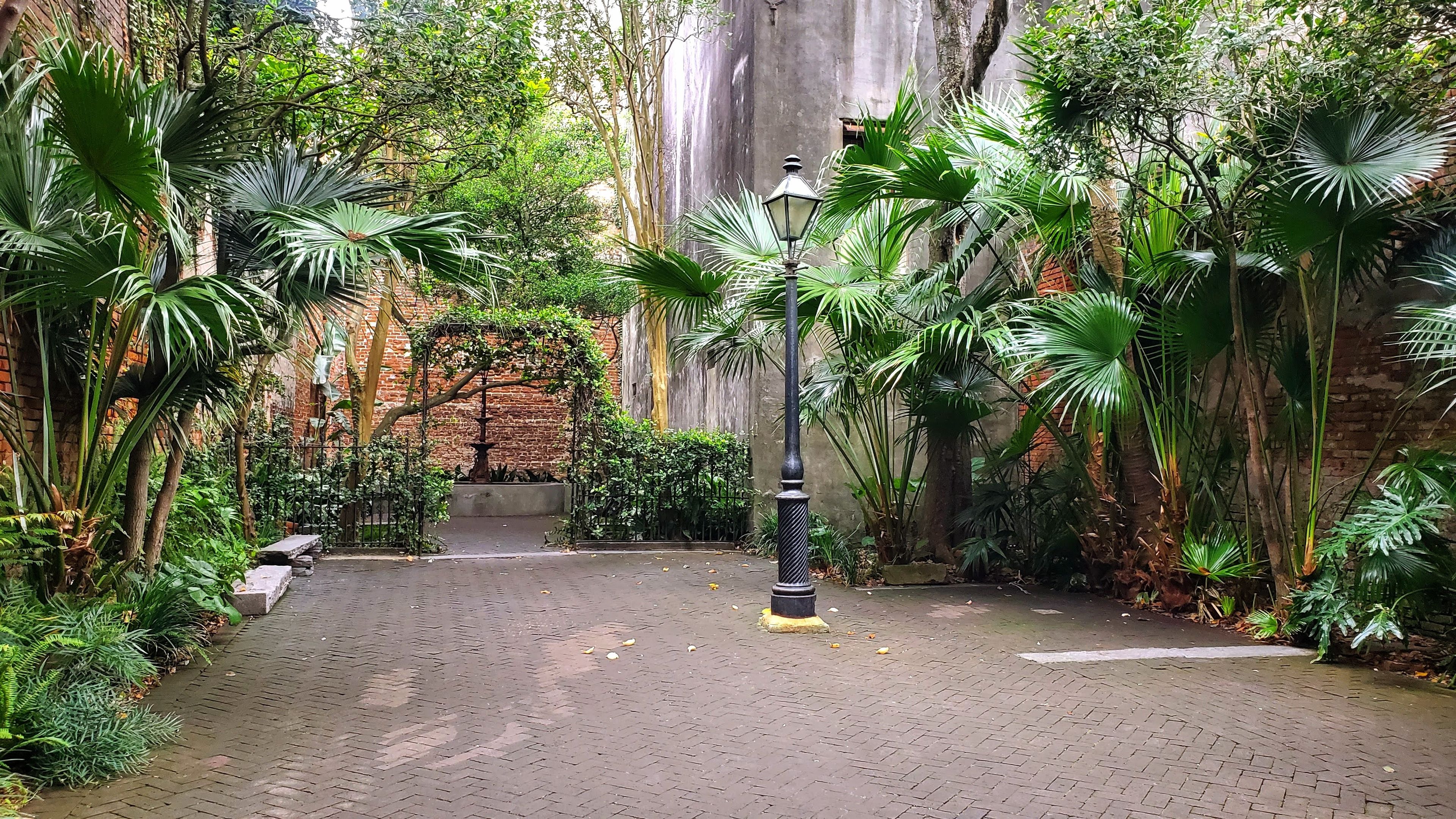 Cover photo of New Orleans Pharmacy Museum