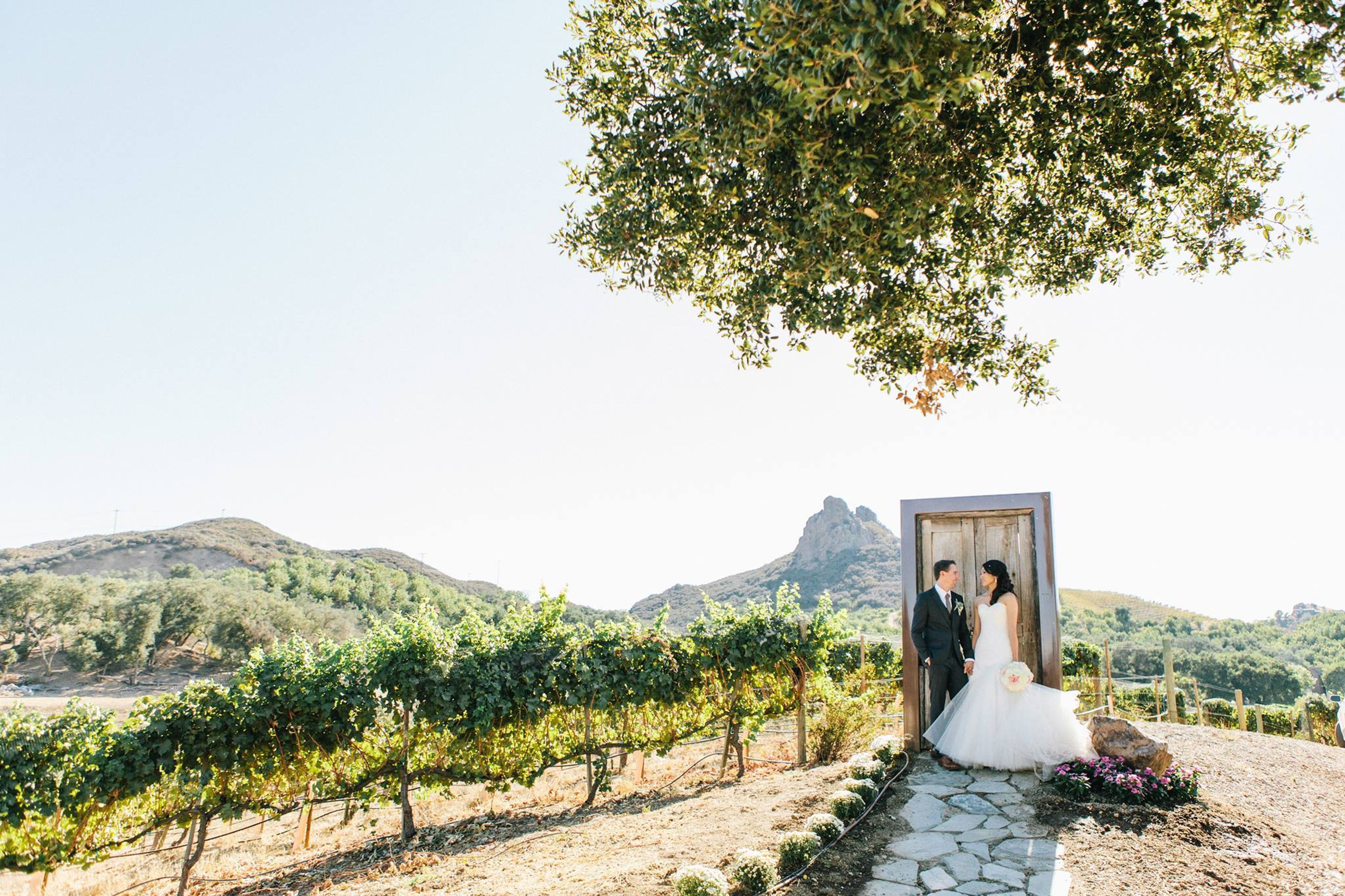 Cover photo of Trina Schmidt Weddings