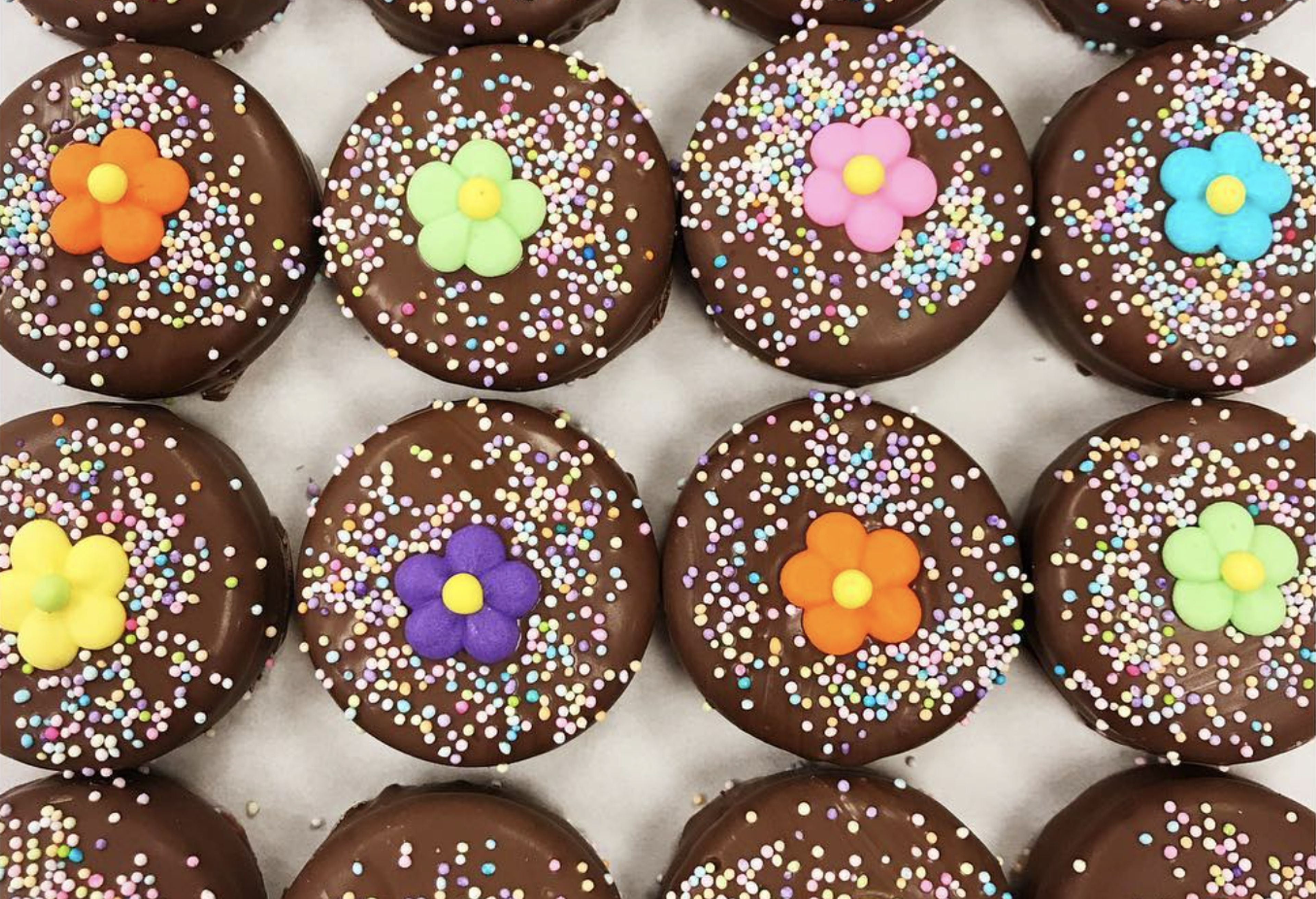 Cover photo of Lilly Magilly’s