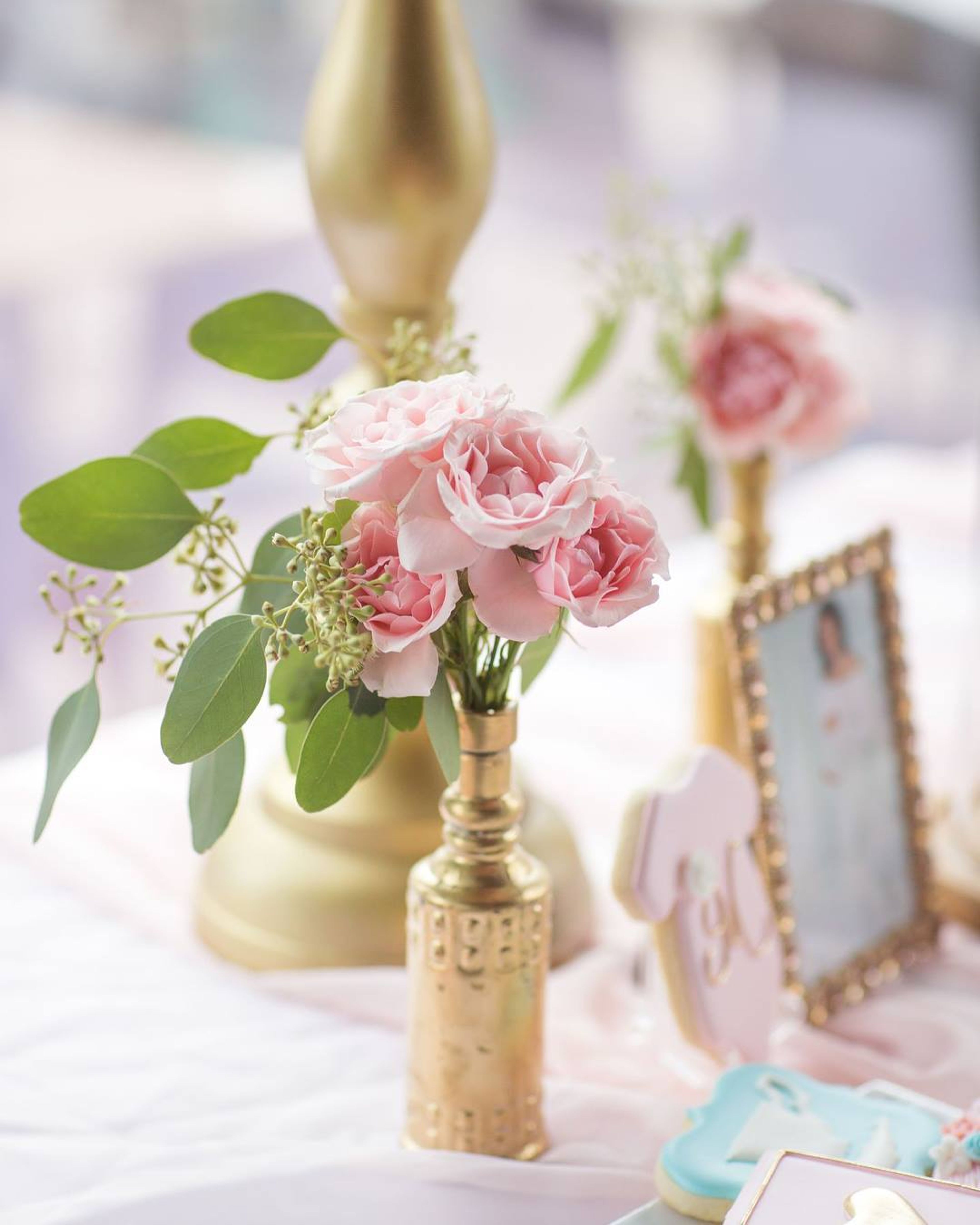 Cover photo of Angi & Co