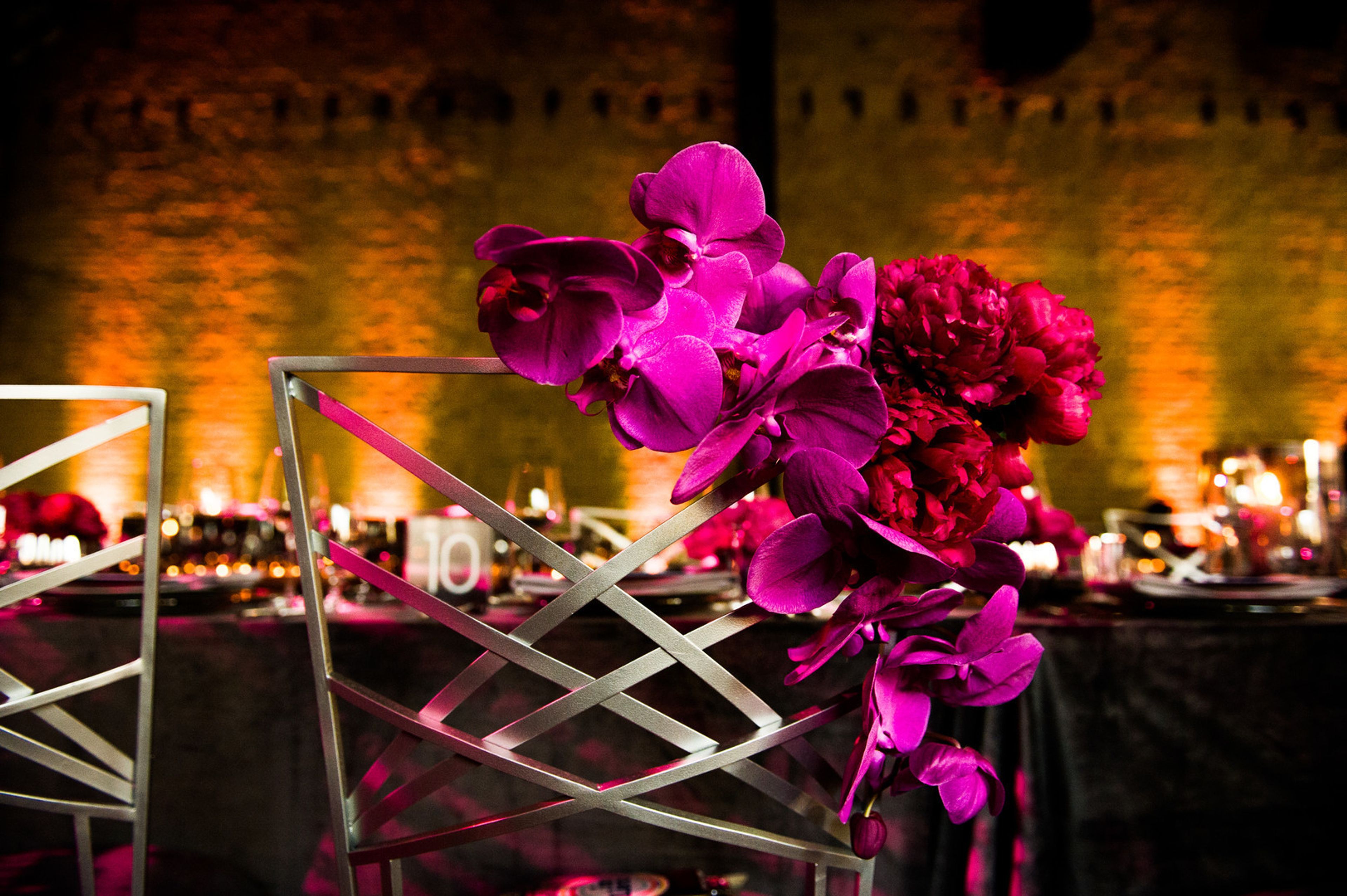 Cover photo of Botanical No. 9