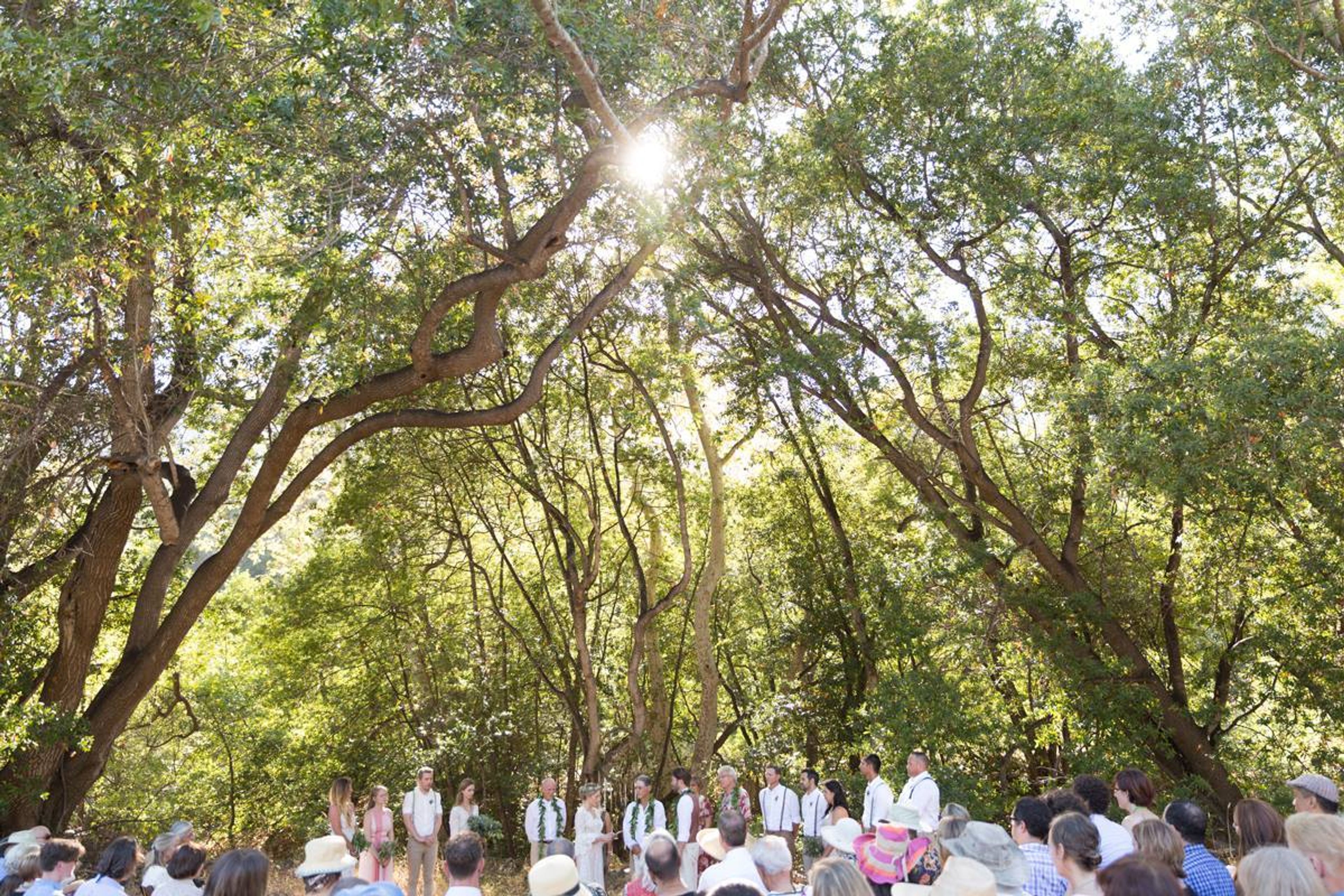 Cover photo of Wonder Tribe Photography