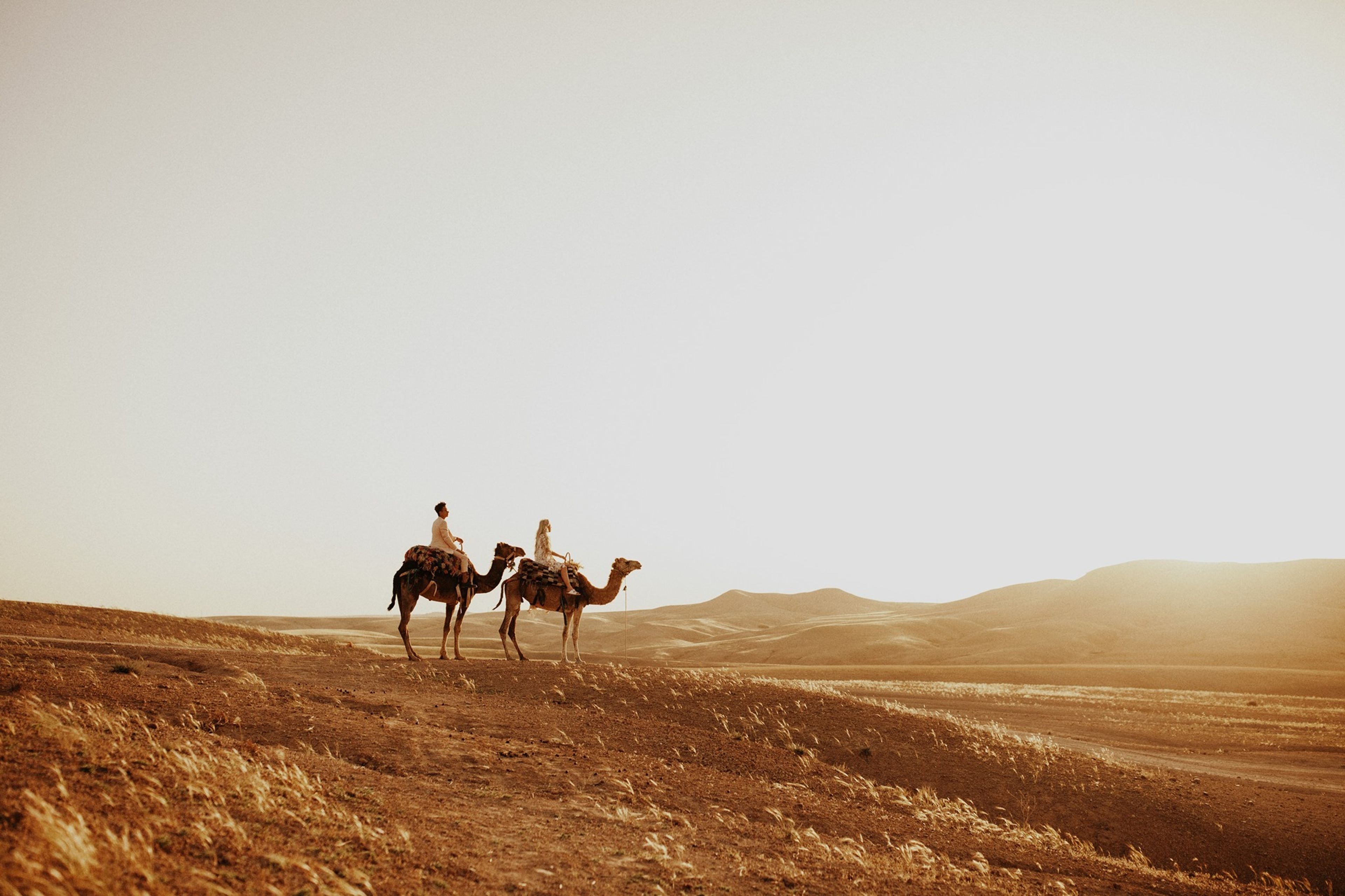 Cover photo of Jordan Voth