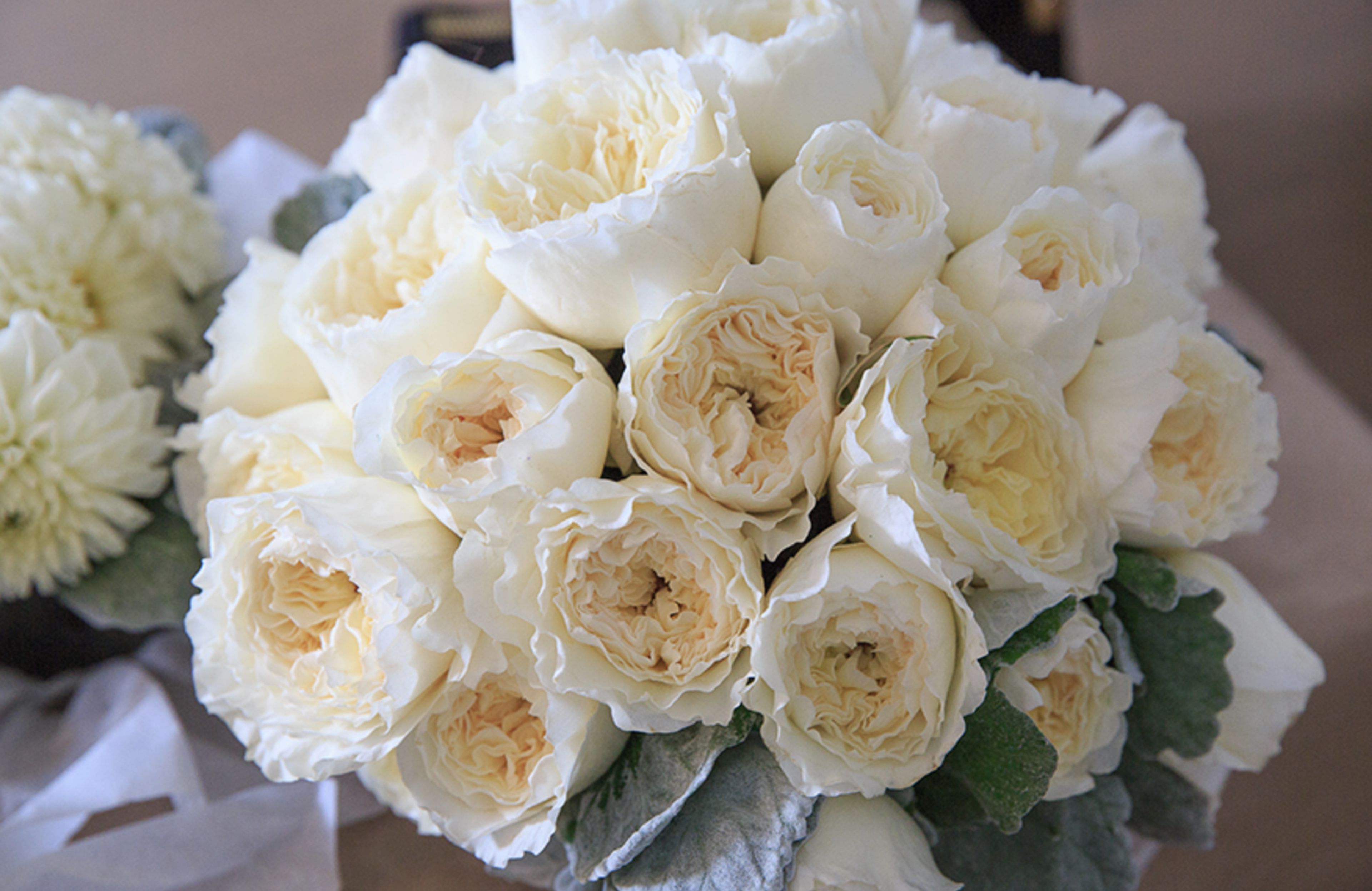 Cover photo of Prairie Honey Floral Studio