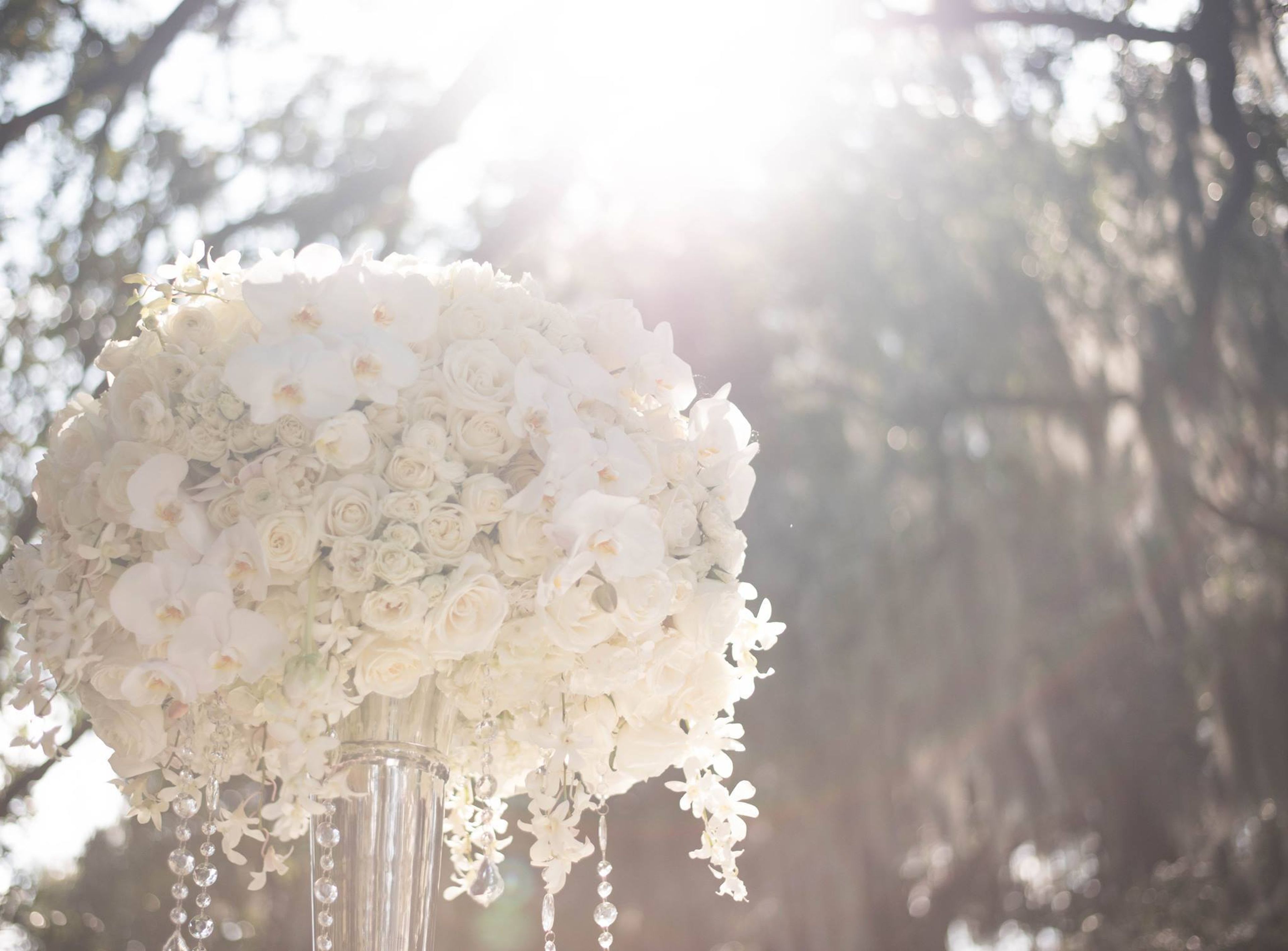 Cover photo of Bobbi Rice Weddings