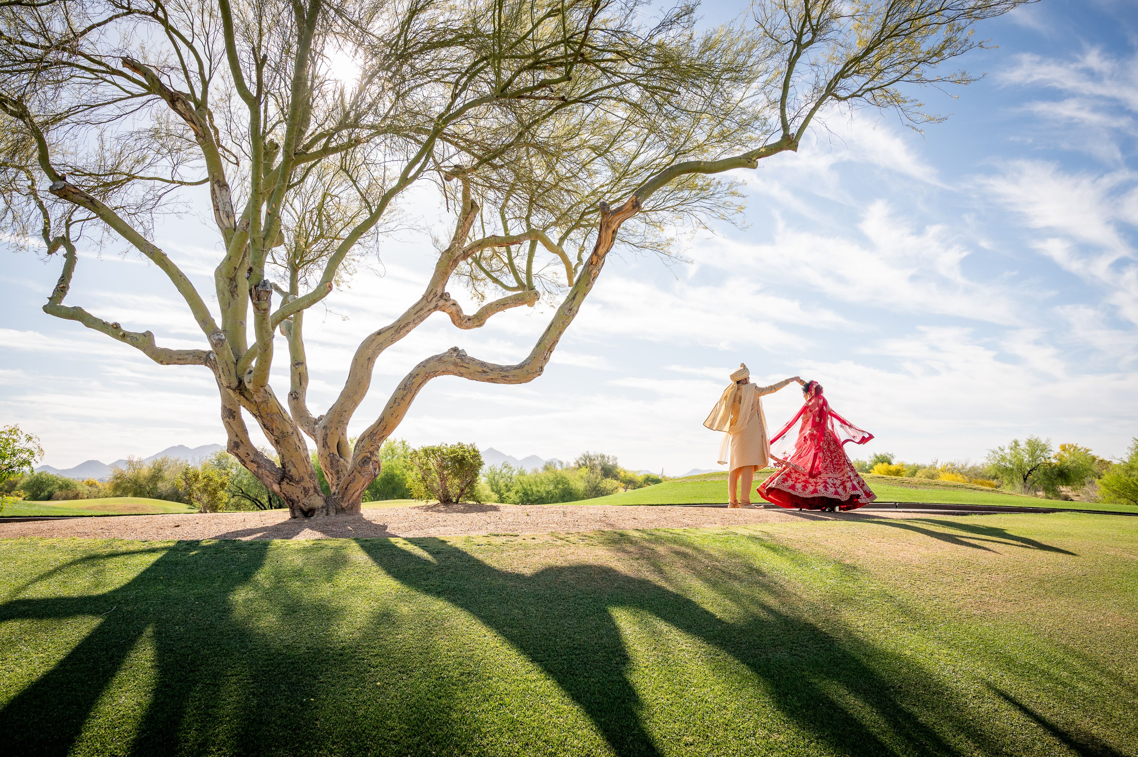 Cover photo of L'Atelier Lumière International Photography