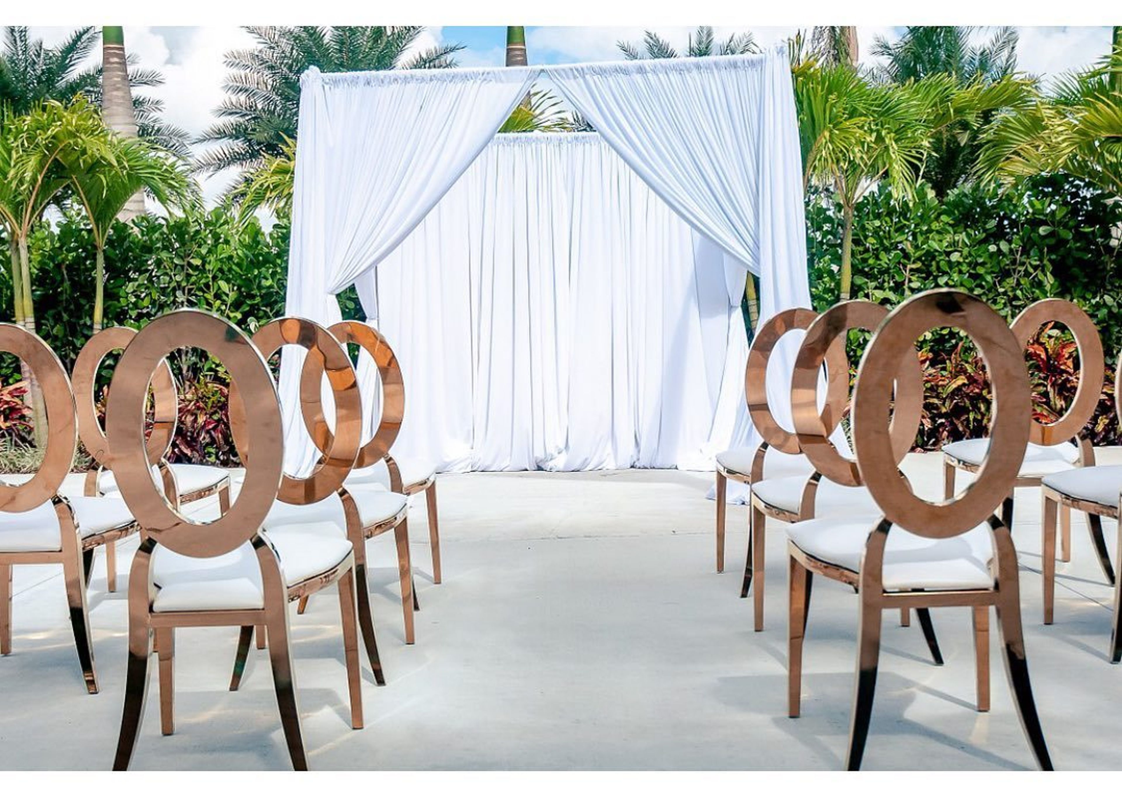 Cover photo of Plush Royale Designs