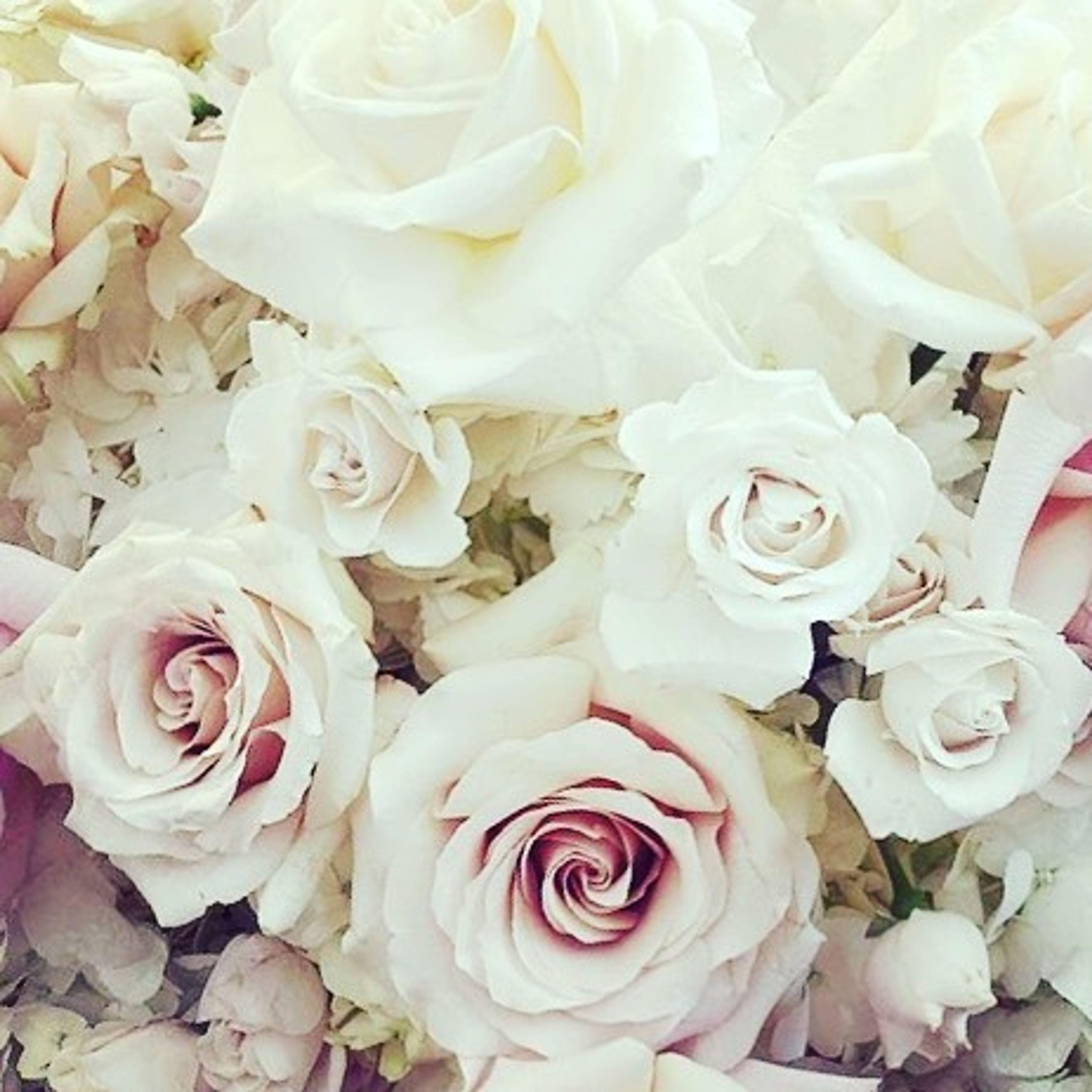 Cover photo of Brooklyn Decor