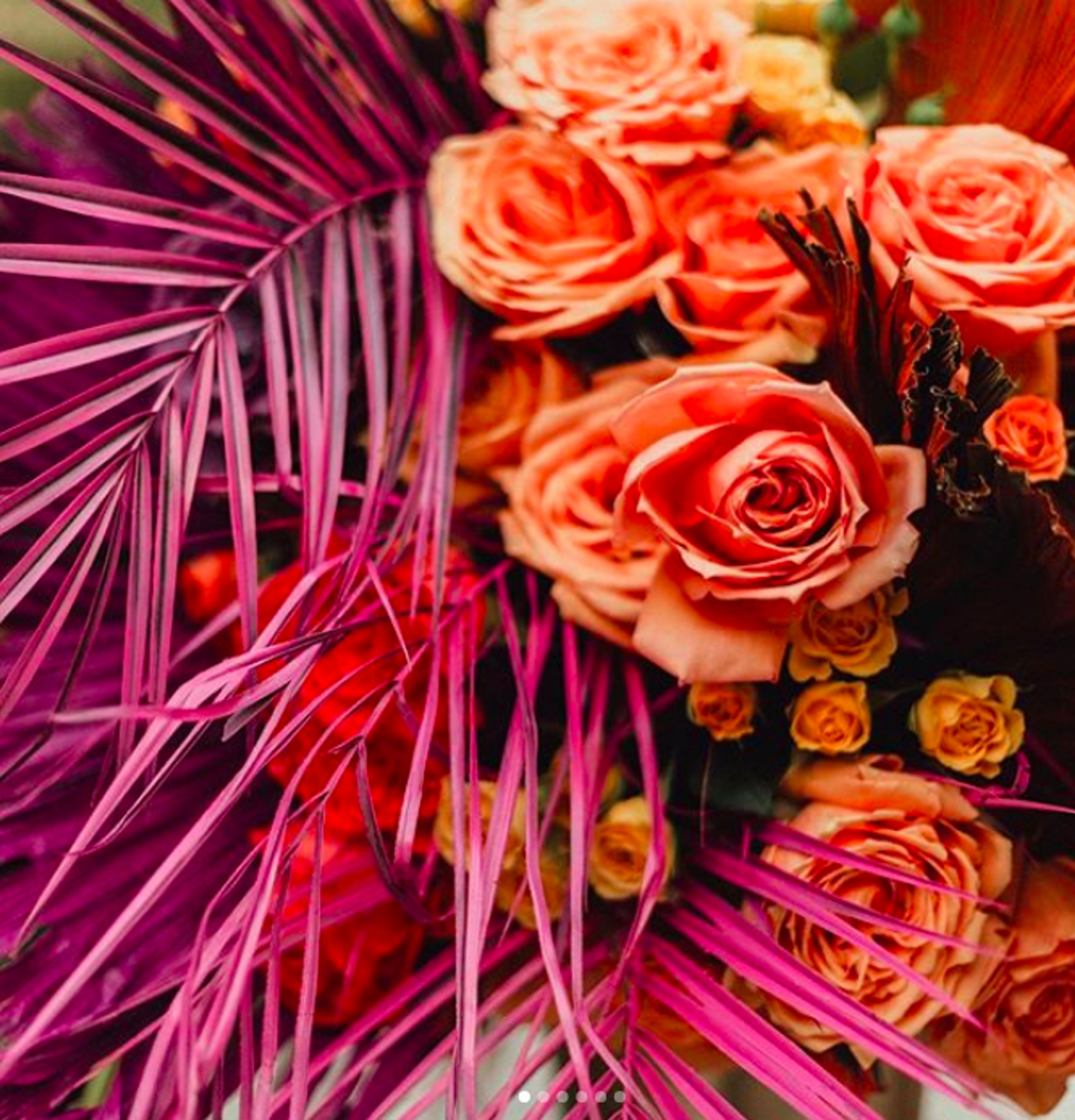 Cover photo of Addy Florales