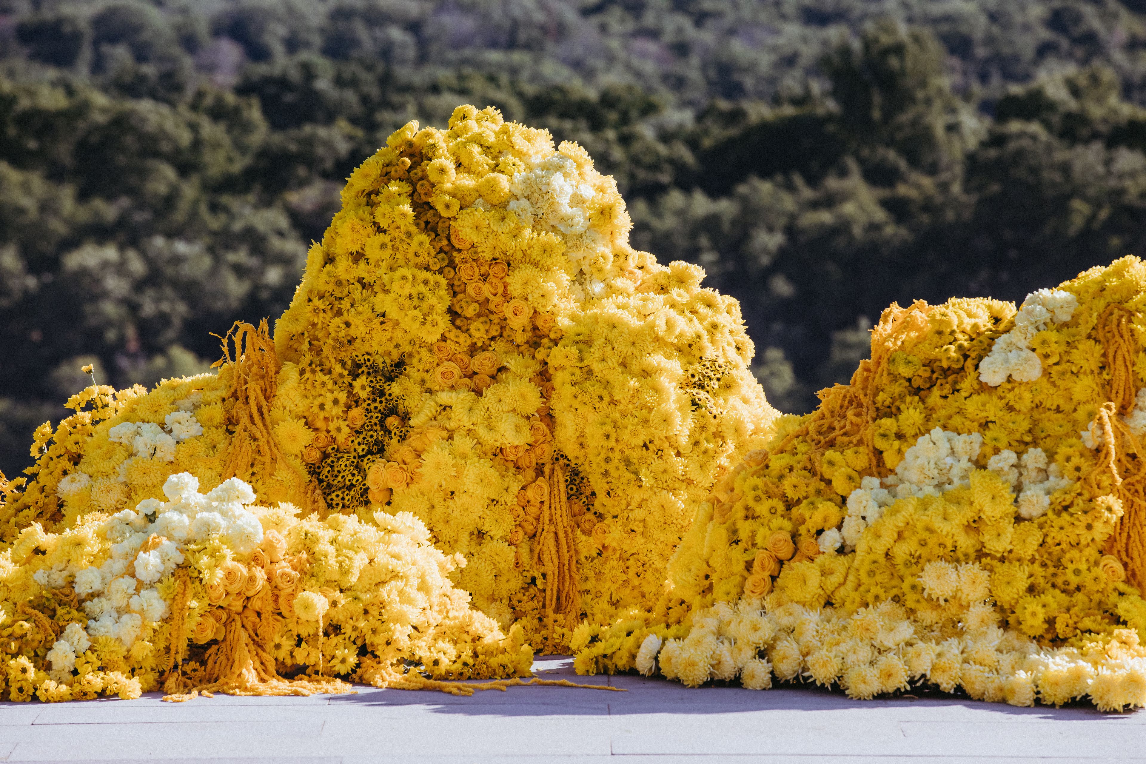 Cover photo of Brave Floral