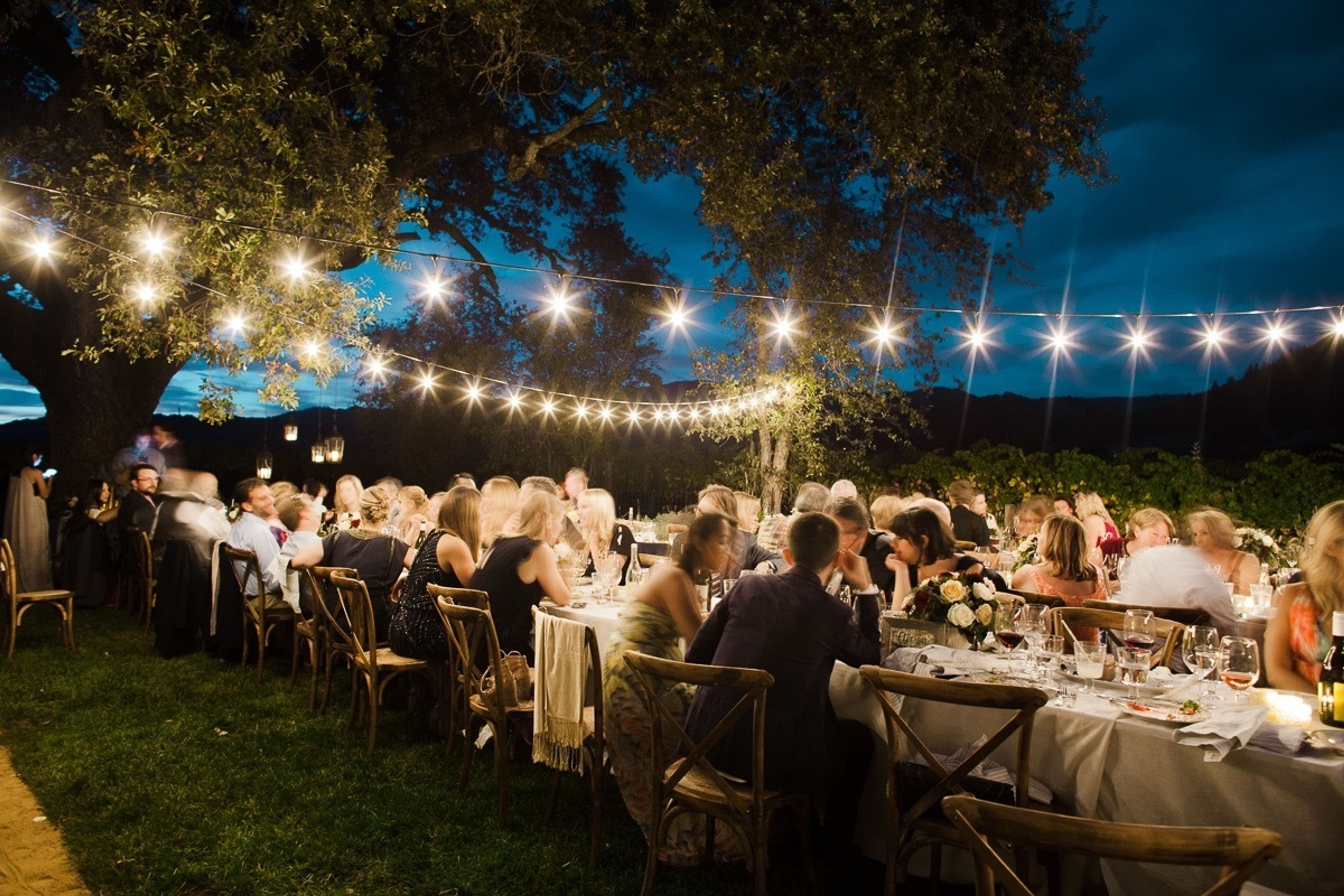 Cover photo of Nicki Wolfe