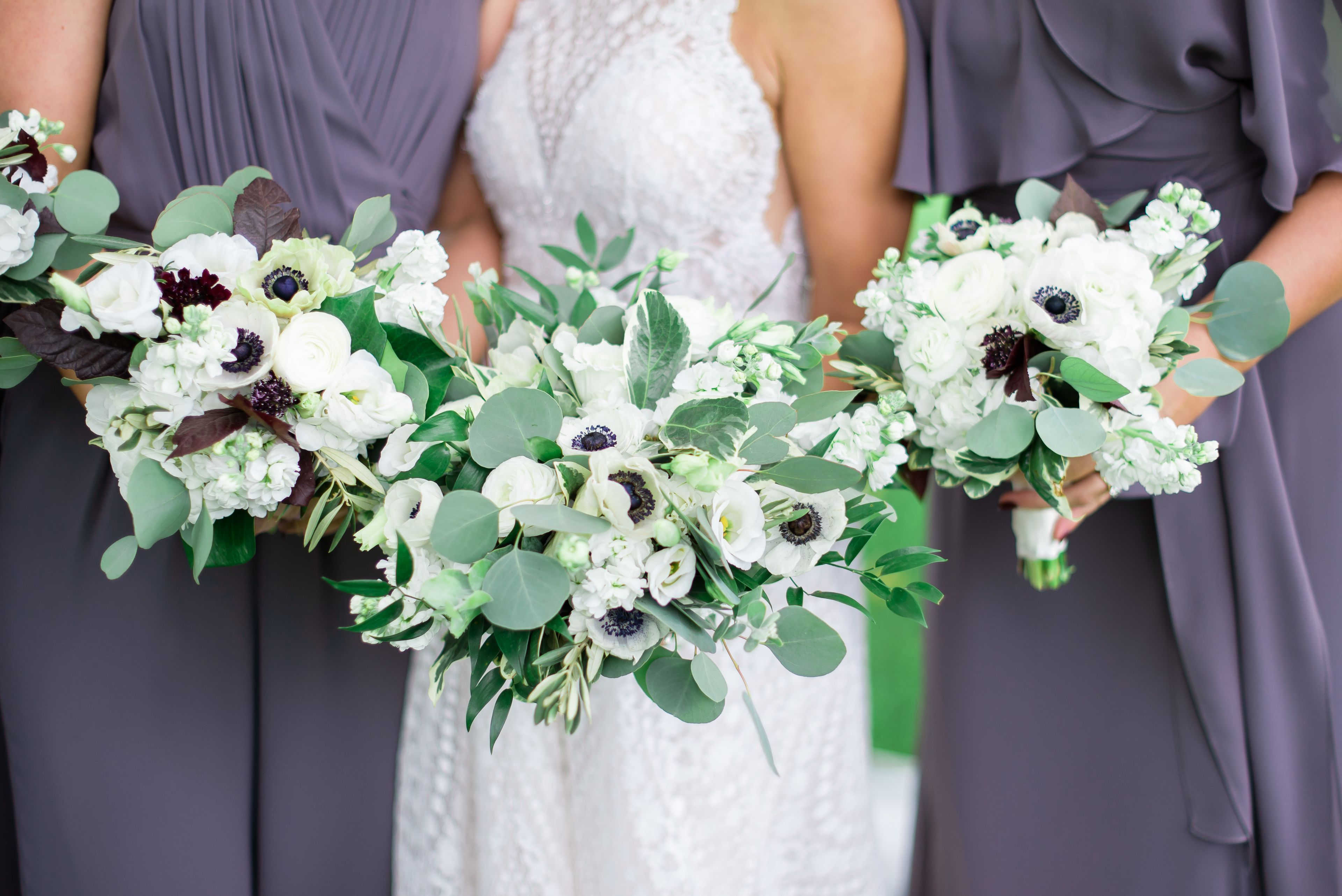 Cover photo of StemLine Creative