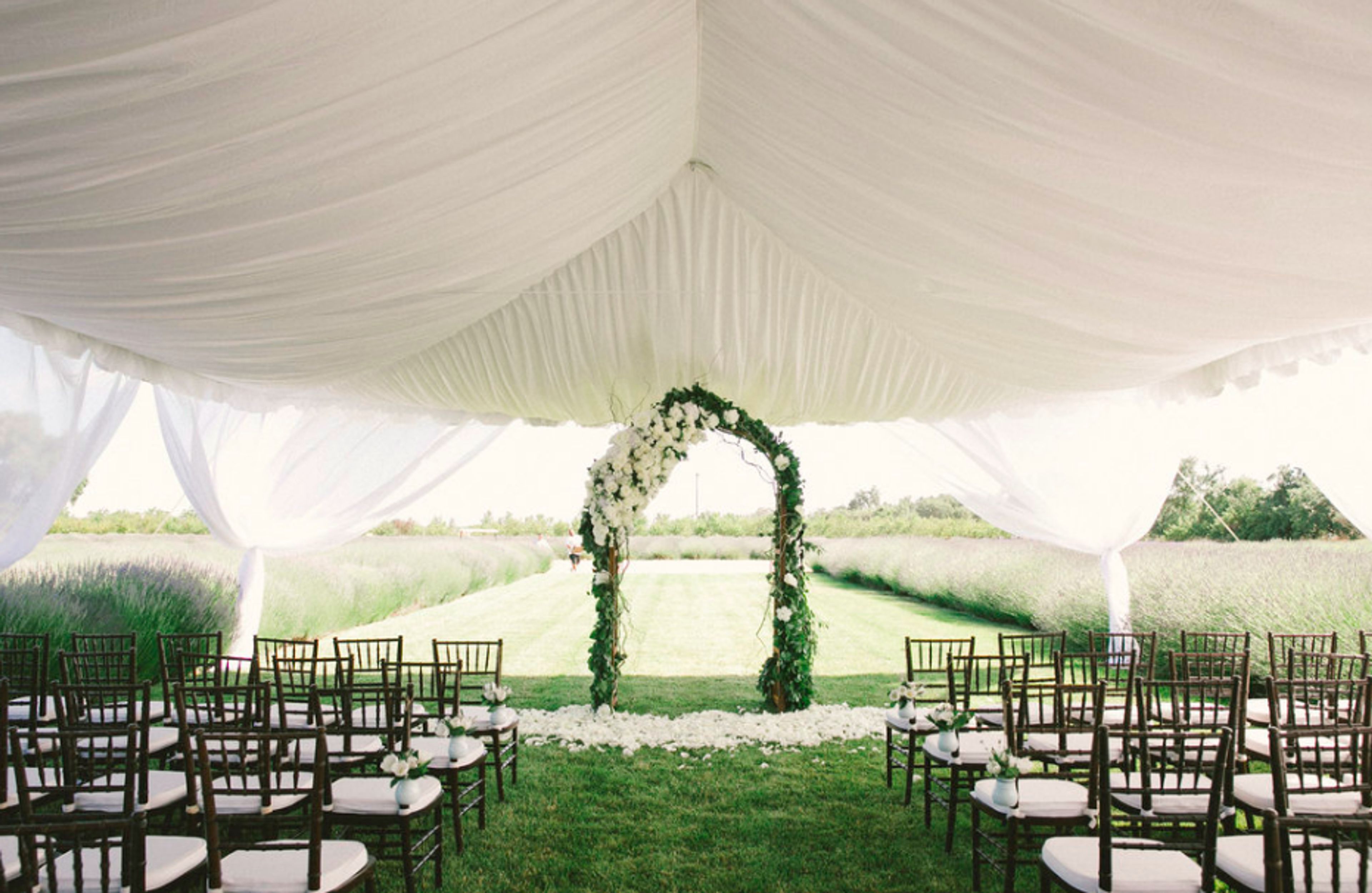 Cover photo of Bear Flag Farm